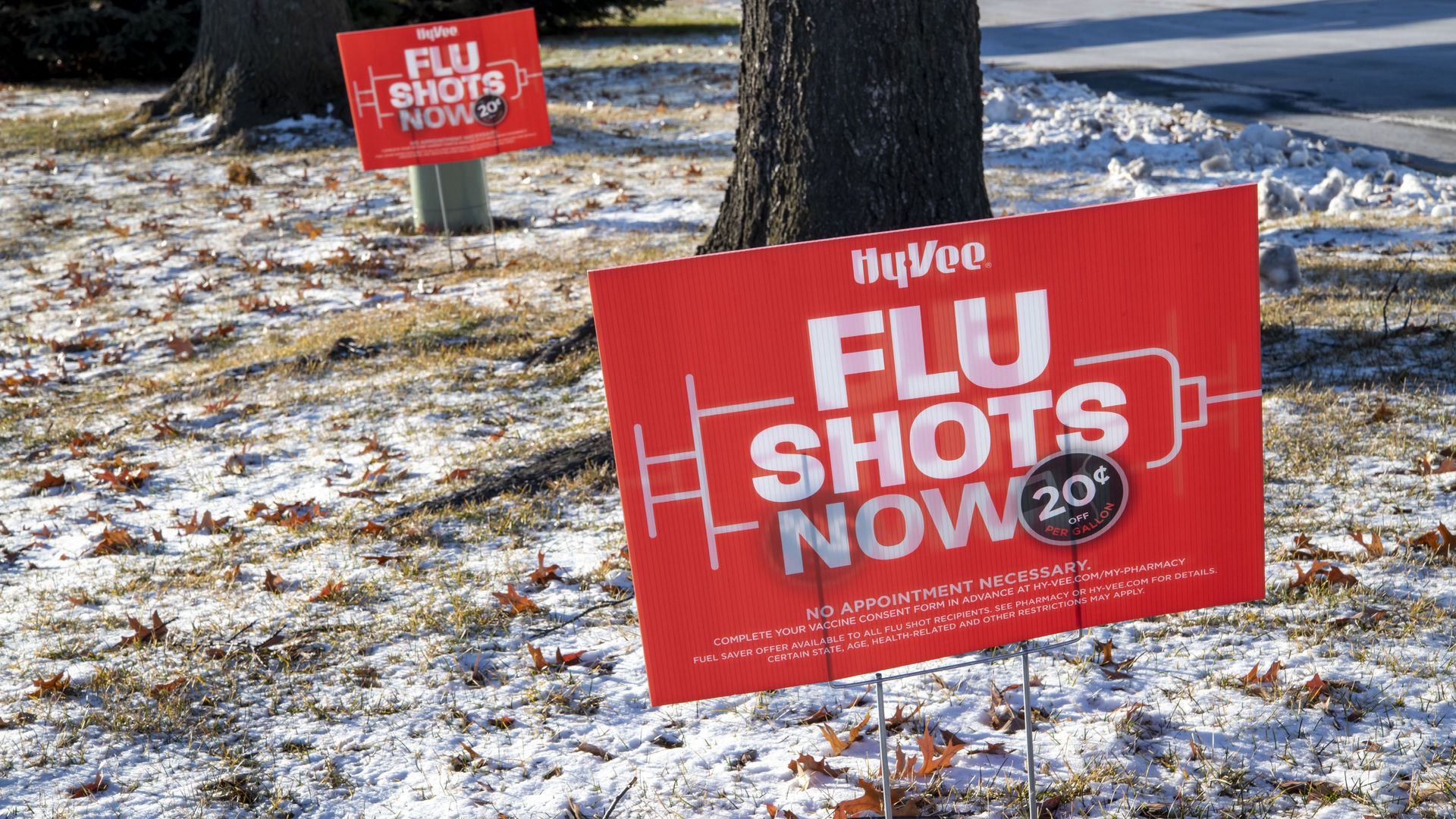 Photo of yard signs saying "Flu shots now" 