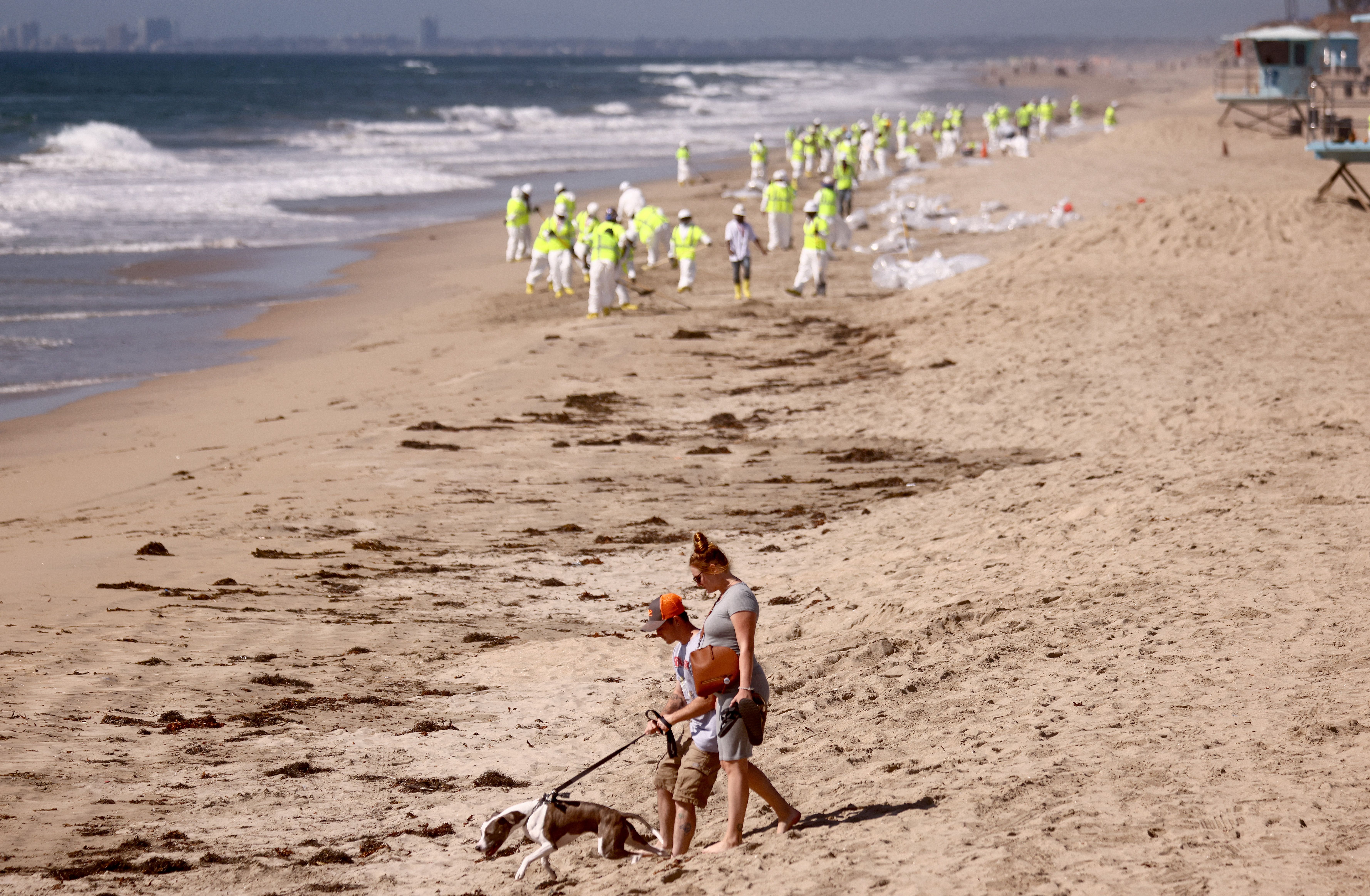 People walk with a dog as cleanup workers comb Huntington Beach on Oct. 9. 
