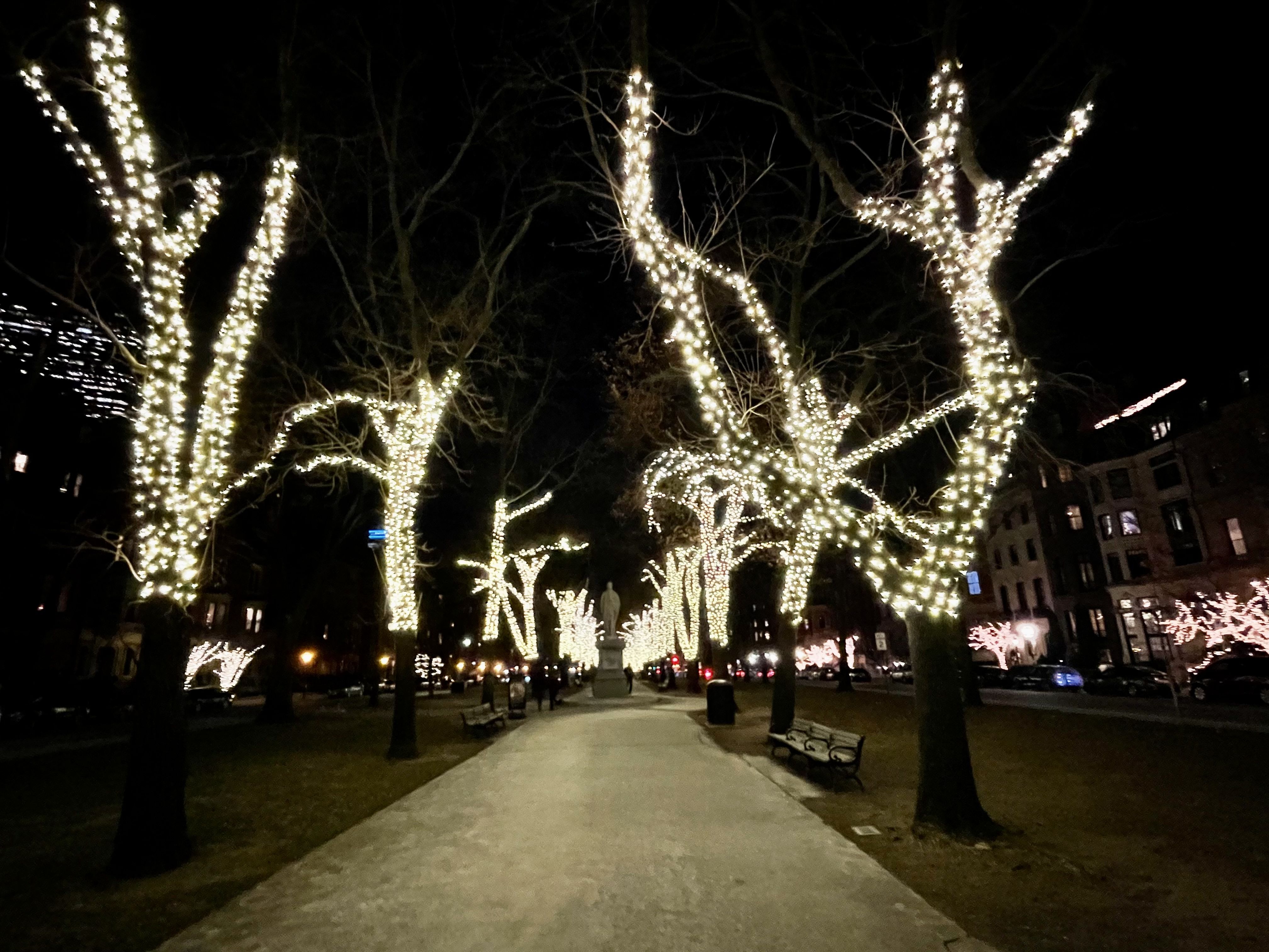 The 9 best Christmas light displays in Boston Axios Boston
