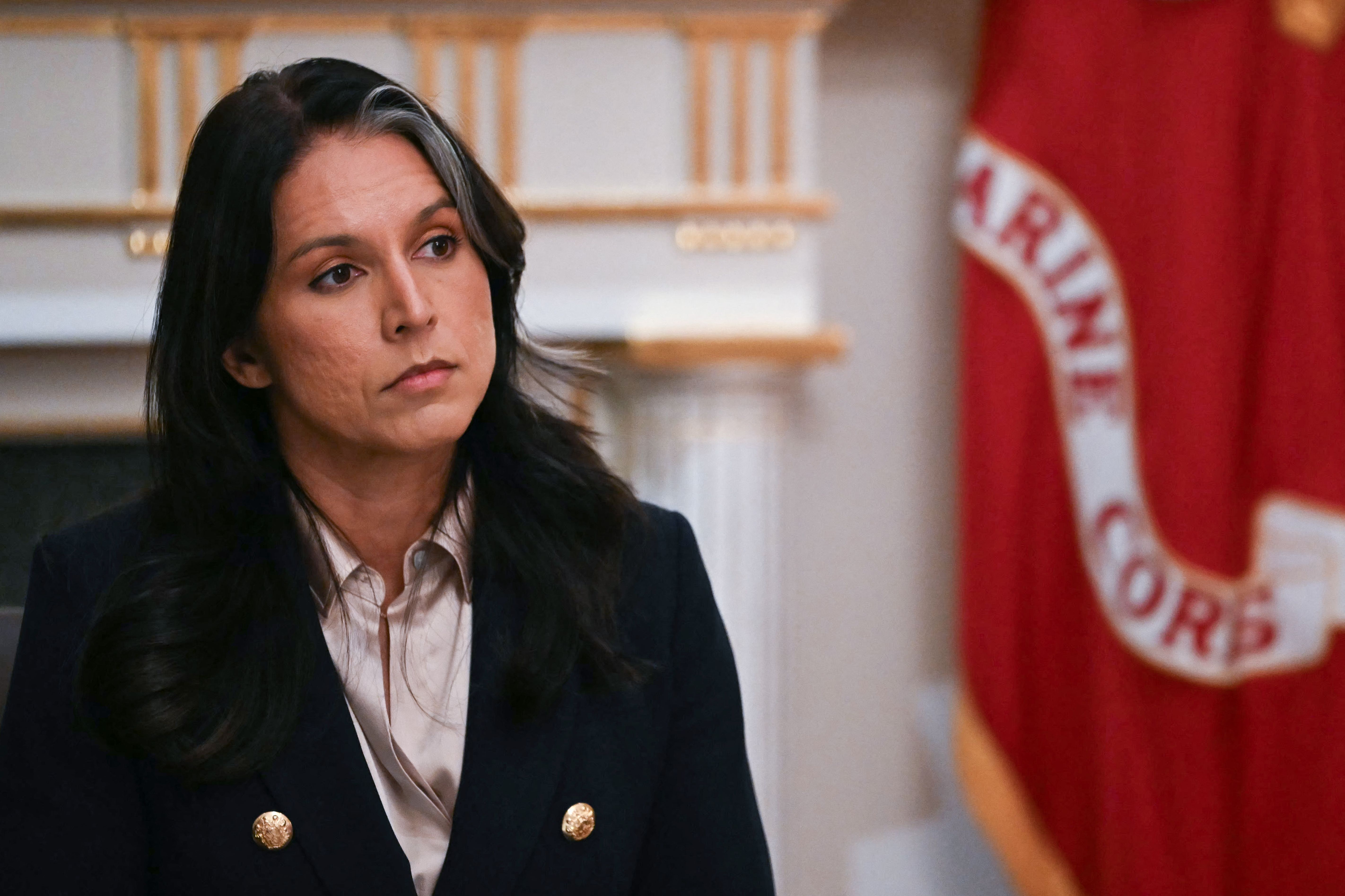 Gabbard Says Trump Asked Her to Attend Fbi Raid at Georgia Elections Hub