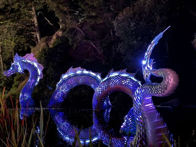 Glowing sea serpent lands in Golden Gate Park - Axios San Francisco
