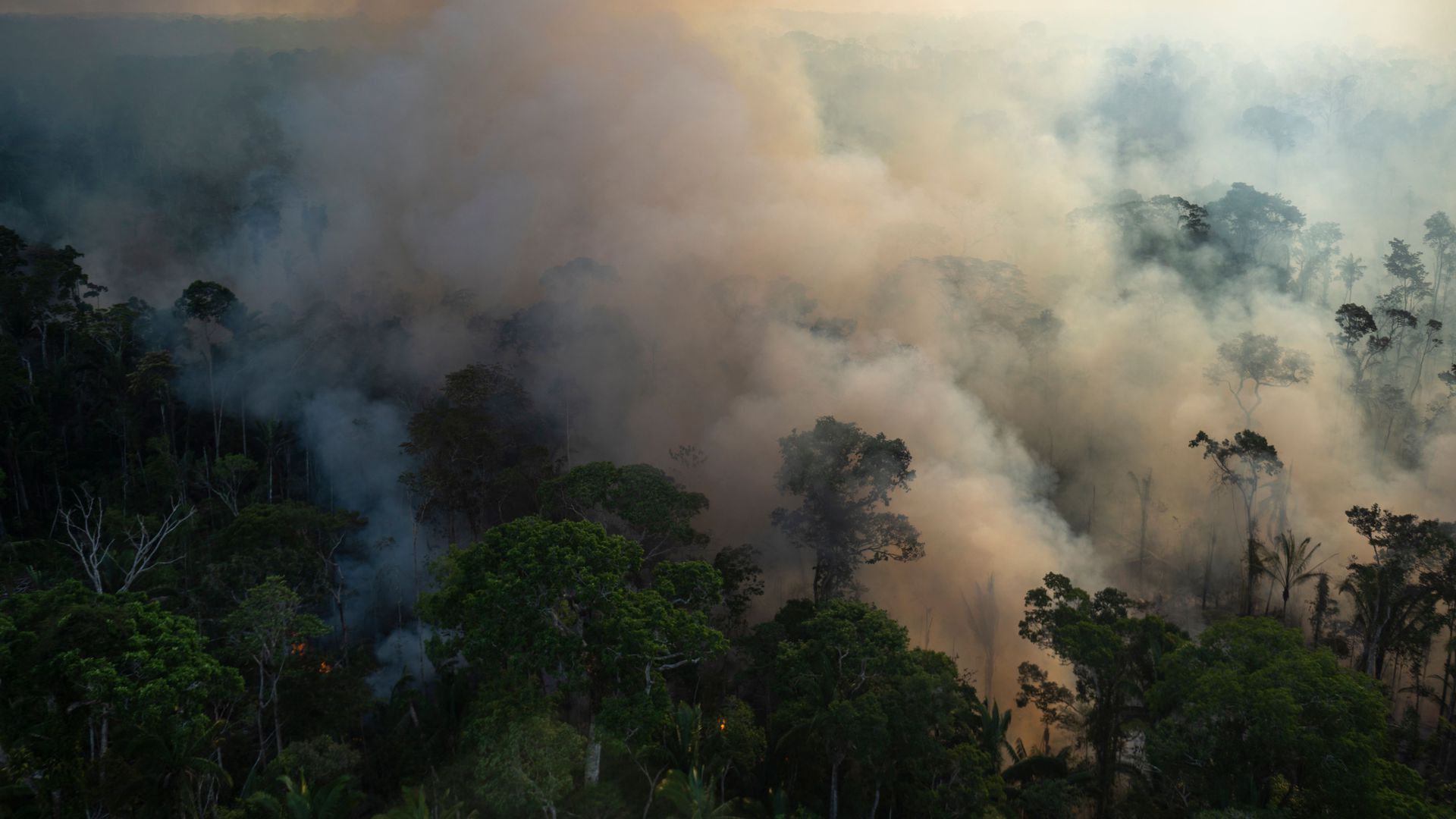 Smoke rising from an illegal fire at the Amazonia rainforest in Brazil on Sept. 15, 2021.