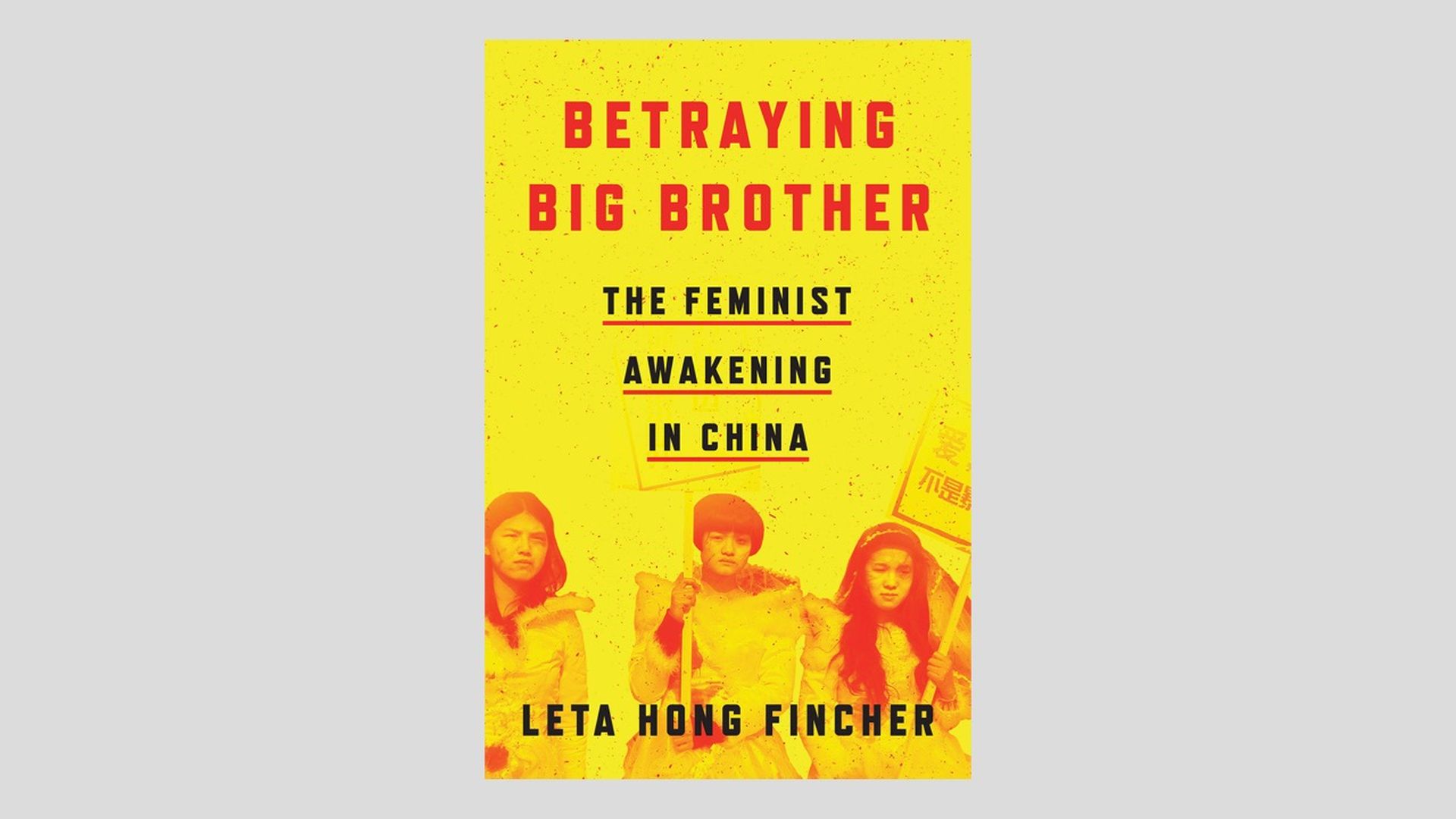 Photo of book cover "Betraying Big Brother" about China