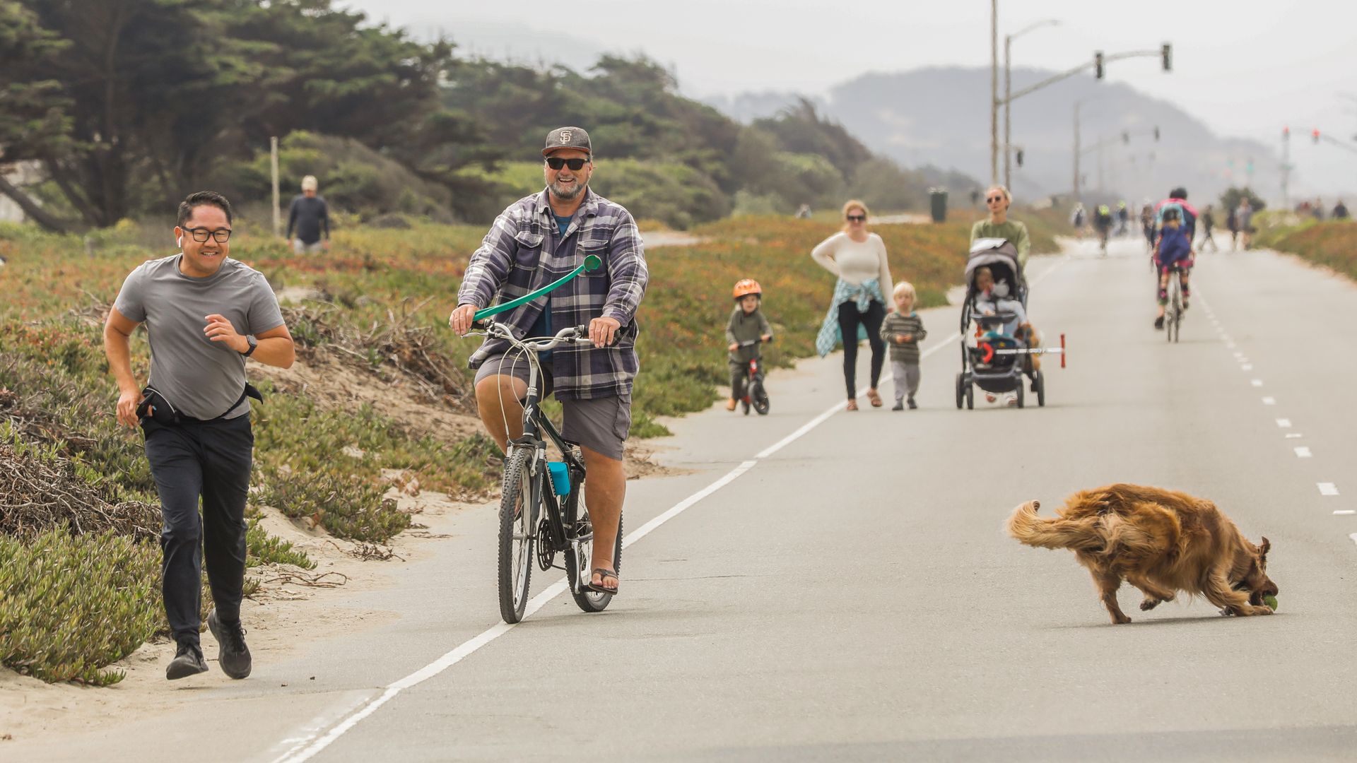 Photo of people walking, running and biking along a walkway and a dog playing on the side
