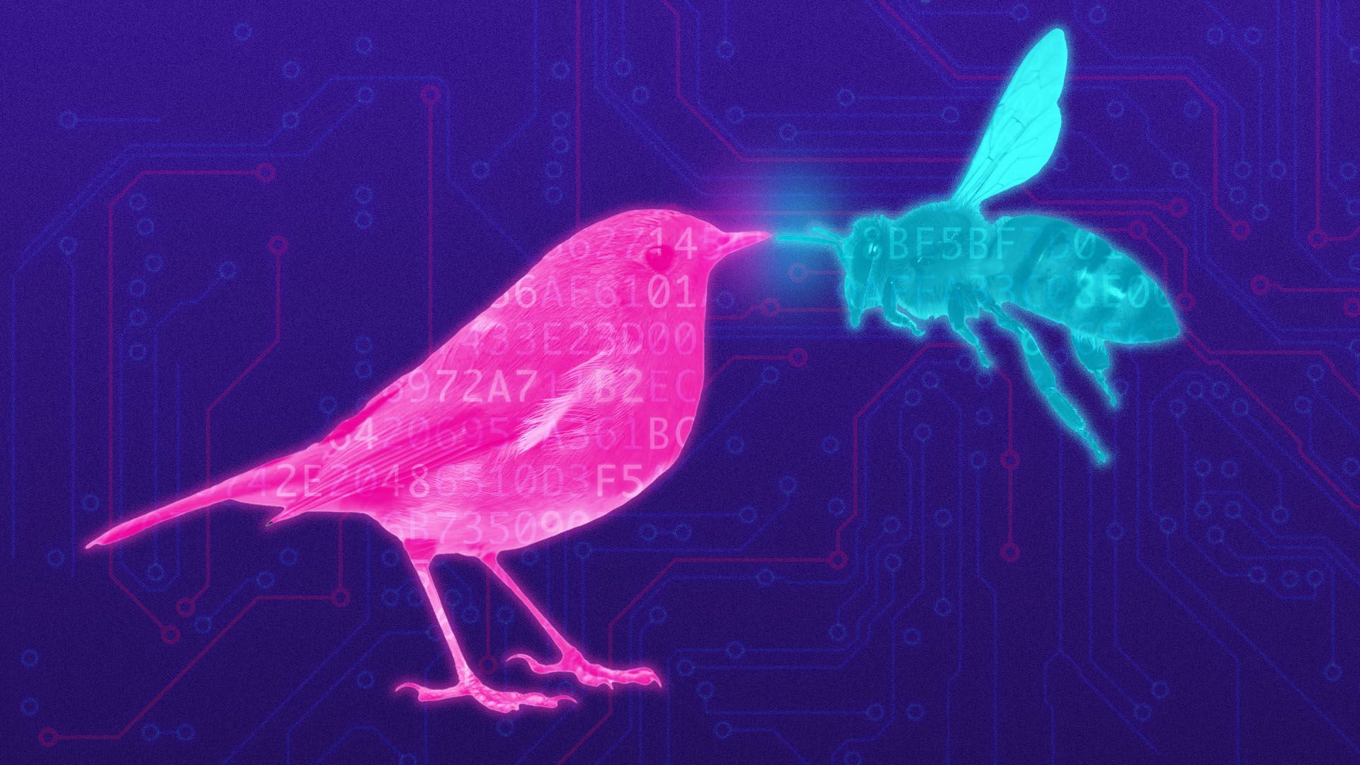 Illustration of a glowing bird and a bee with coding overlay.
