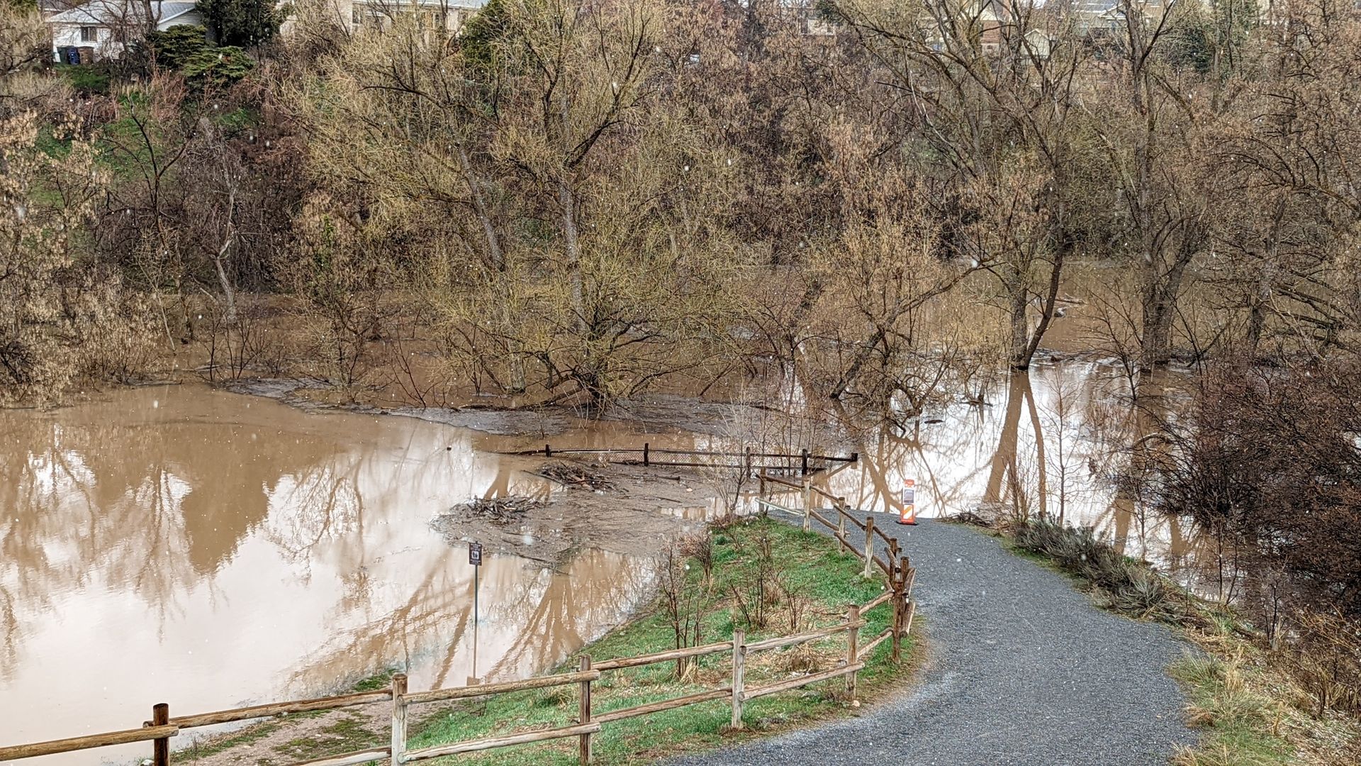 Muddy floodwaters over a road and fences in a woody drainage.