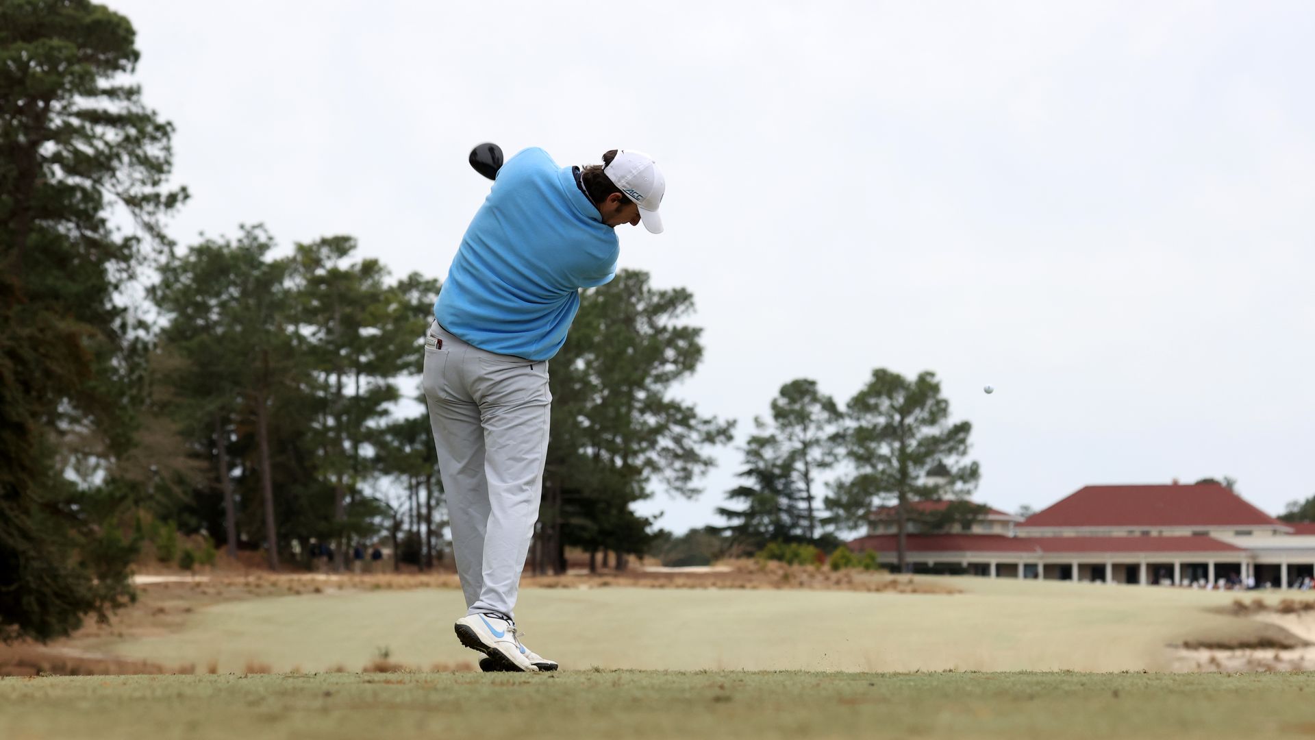 A golfer hits a golf ball into a background of pine trees. 