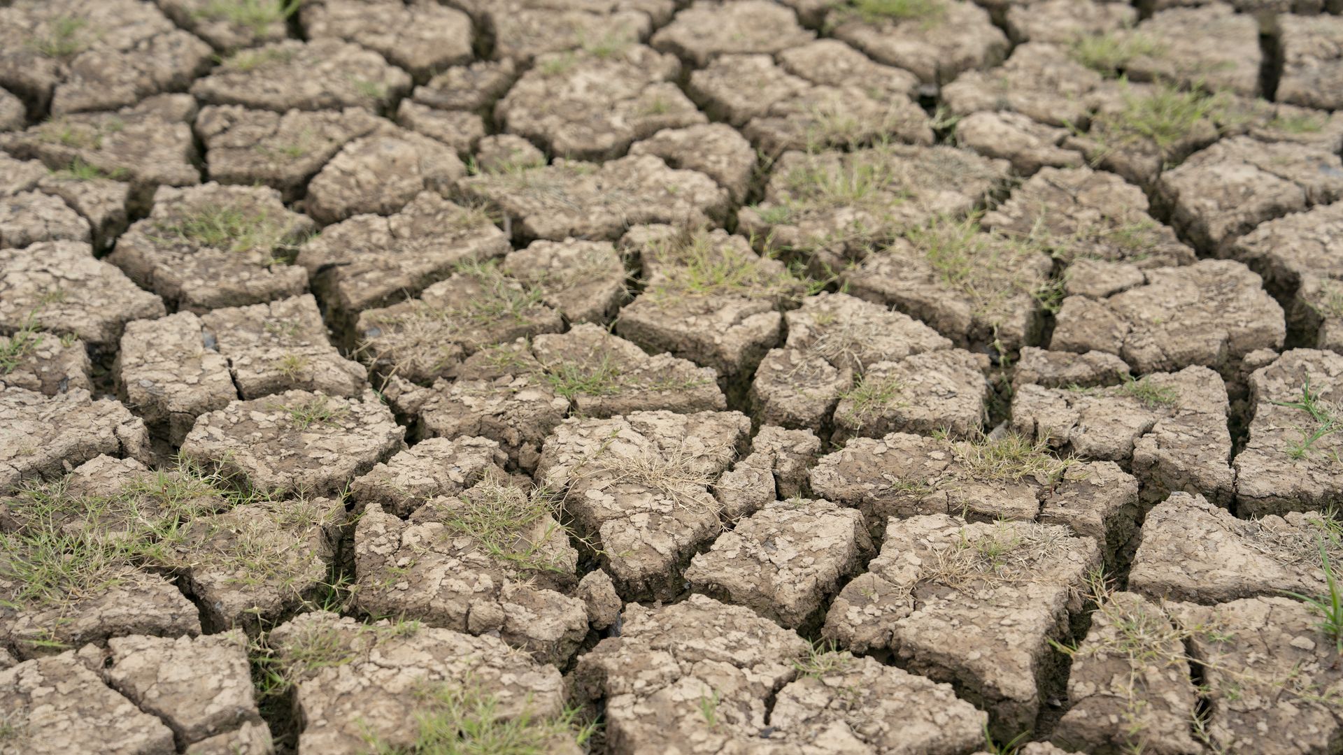 Dry, cracked earth is seen on the exposed lakebed at Falls Lake.