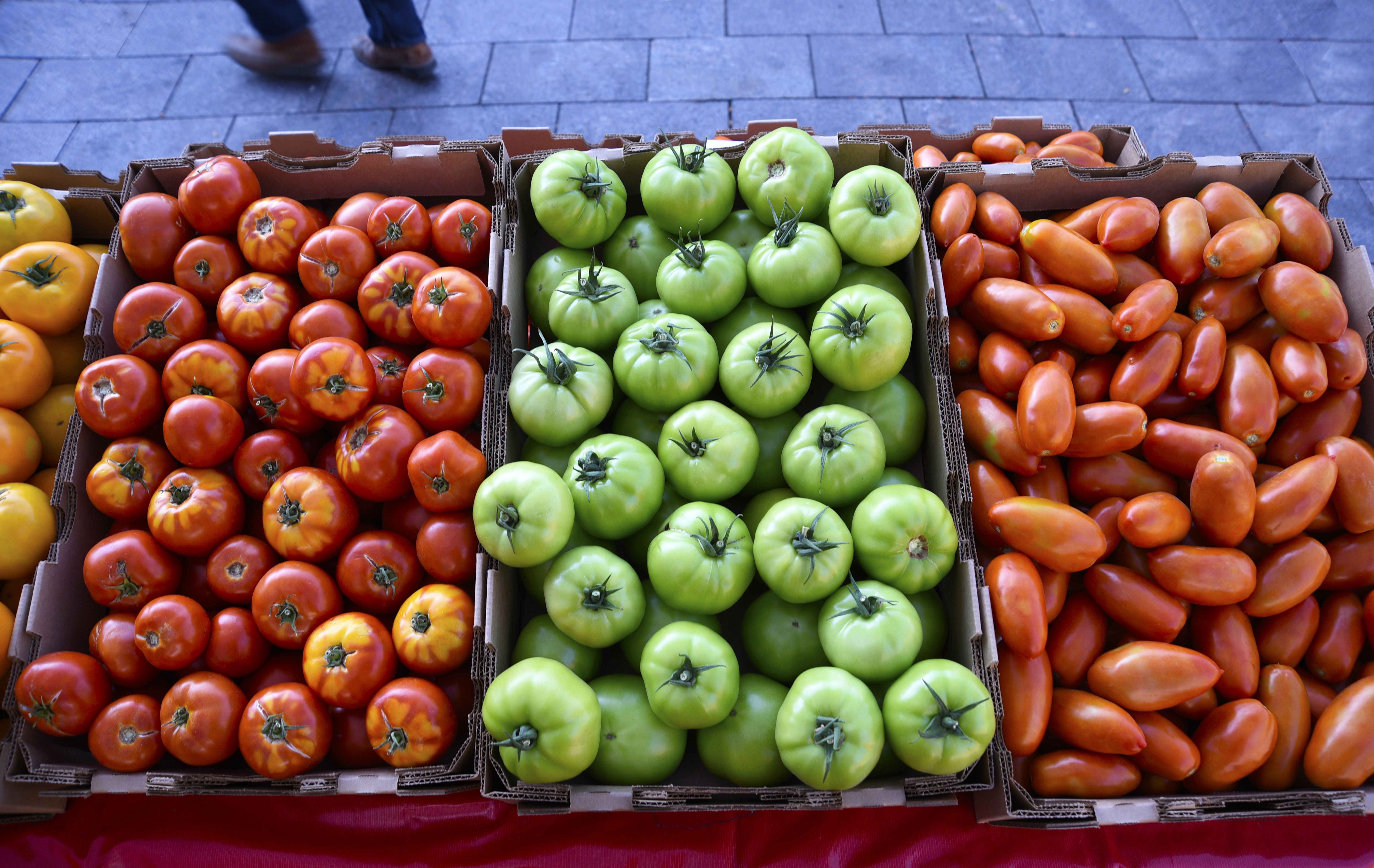 Heirloom tomatoes in three boxes, with bright red ones, green ones, and red ones shaped like potatoes.