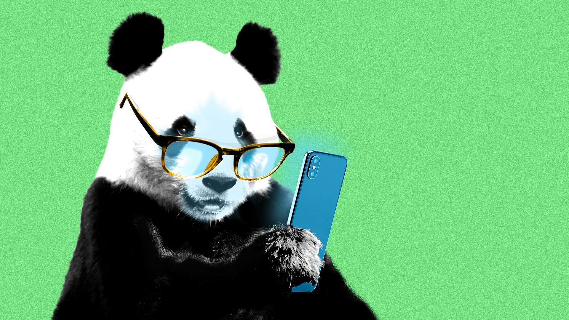 Illustration of a giant panda wearing glasses and looking at a smartphone.