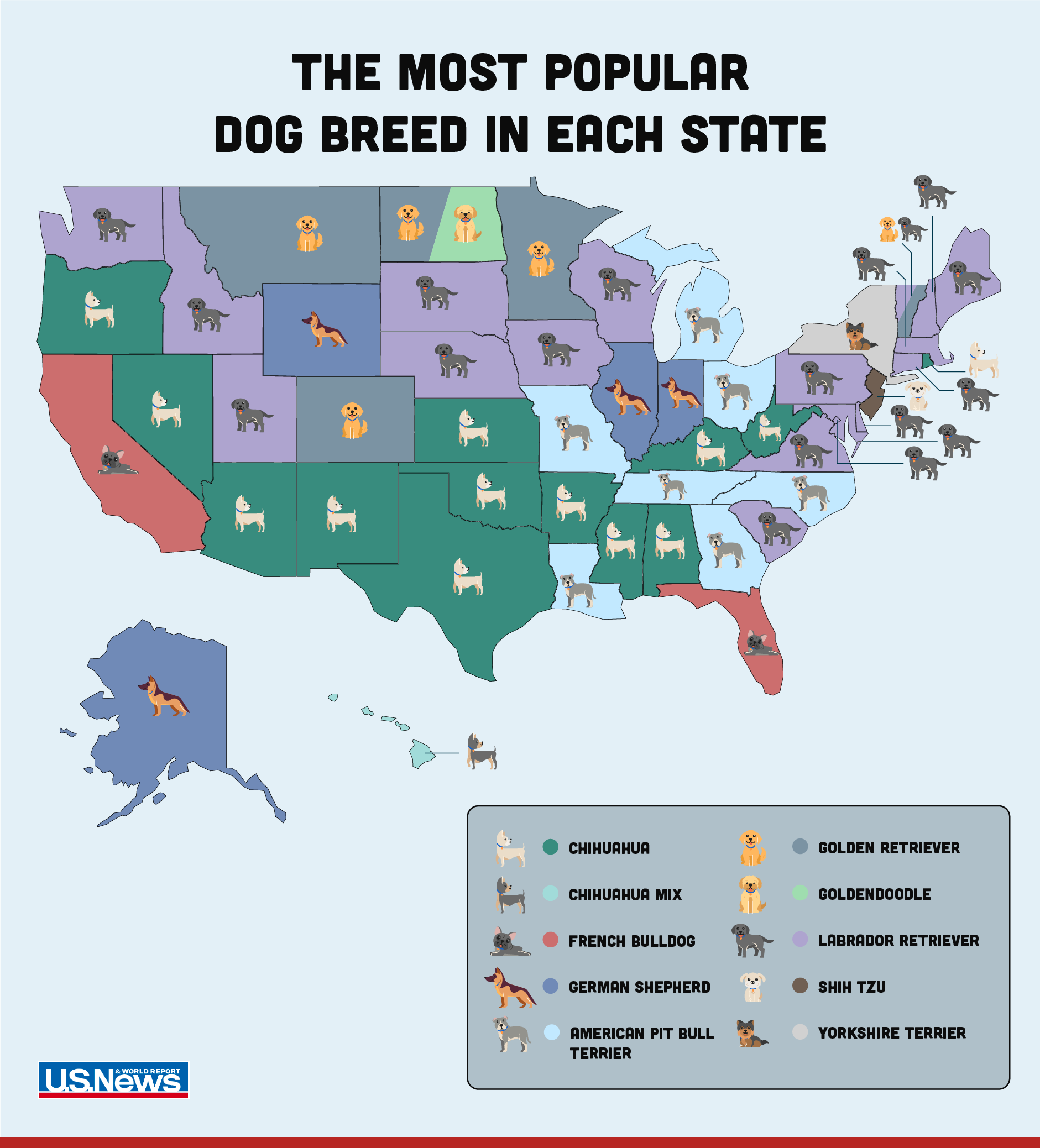 Map showing the most popular dog breed in each U.S. state with icons and colors for breeds like Chihuahua, French bulldog, German shepherd, Labrador retriever, and others.