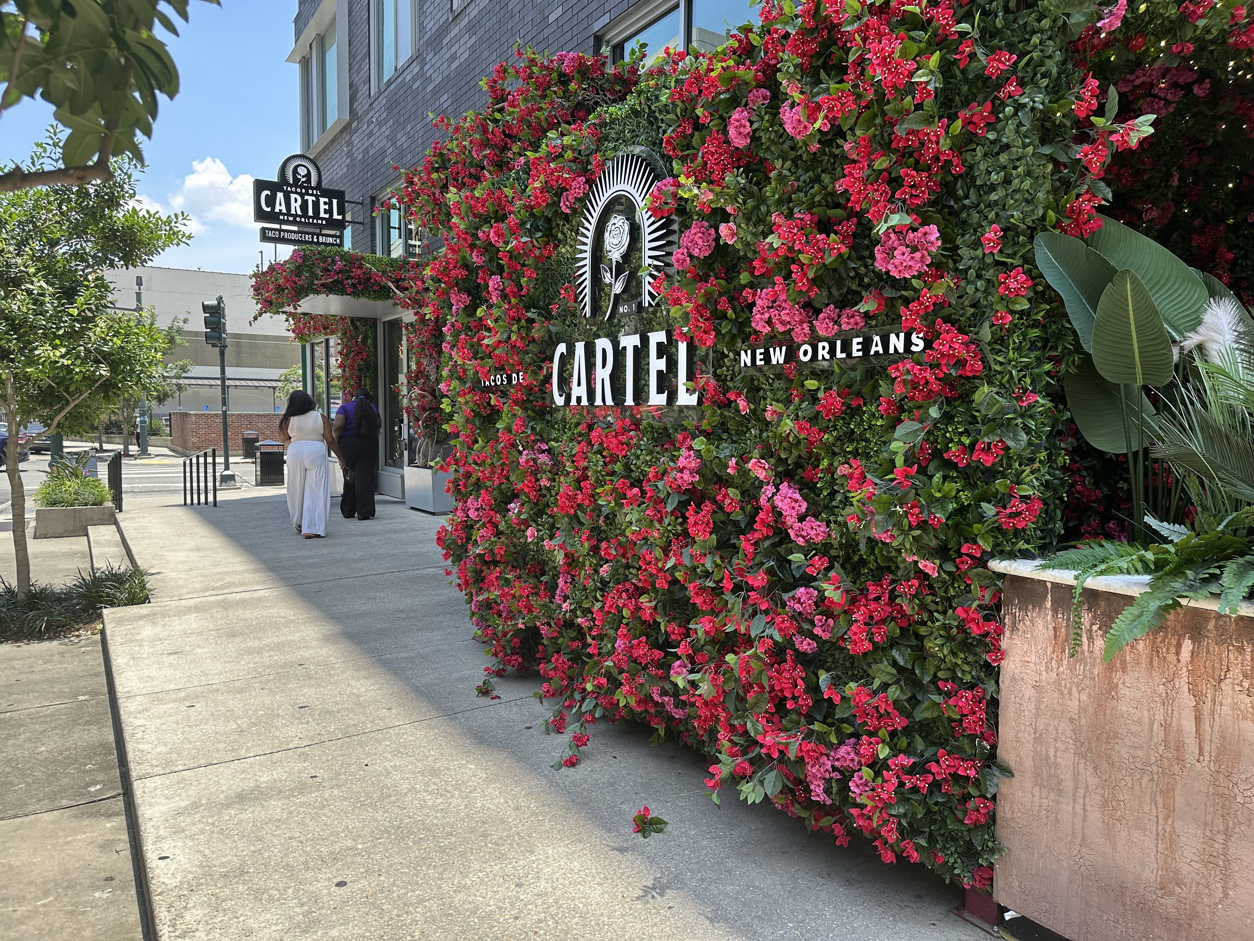 The exterior of Tacos del Cartel shows a wall of red flowers and the restaurant's logo.