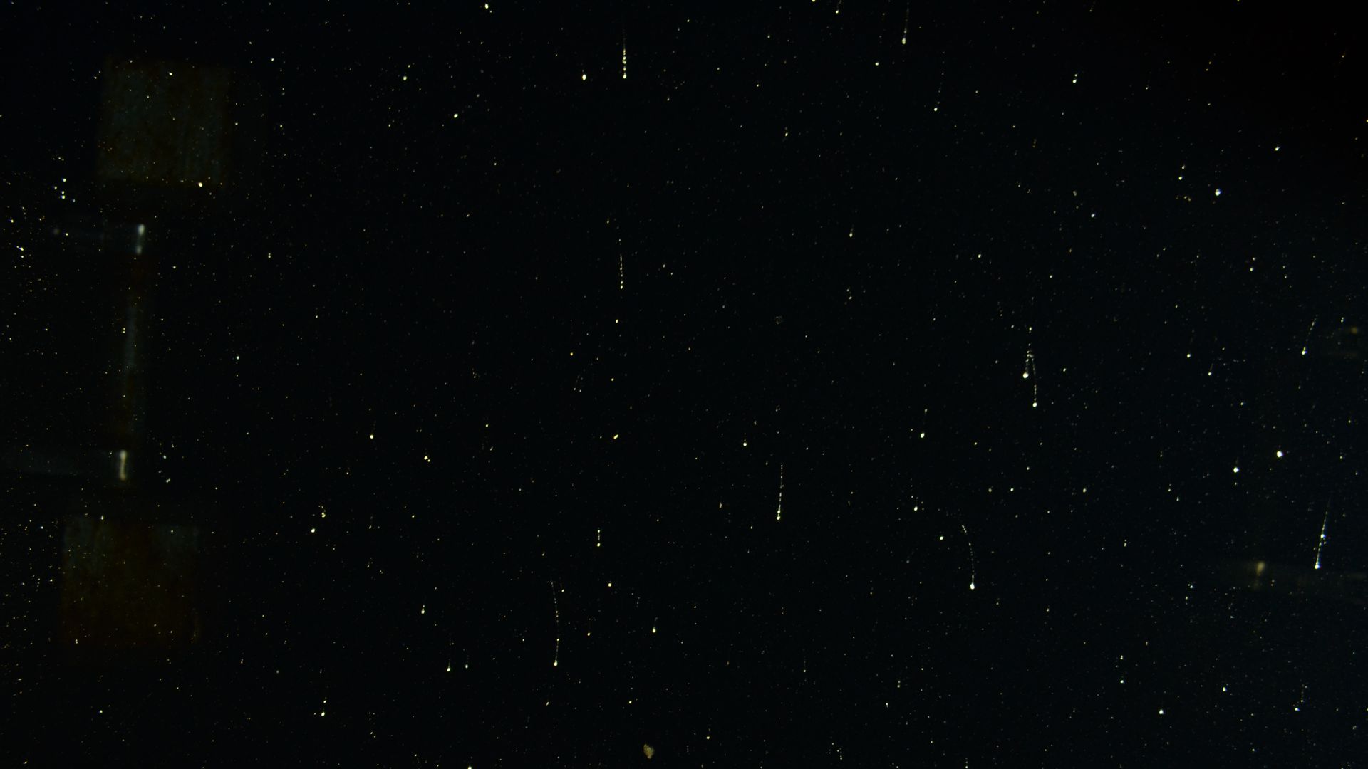 A photograph of an intense marine snow storm taken with an in situ camera.