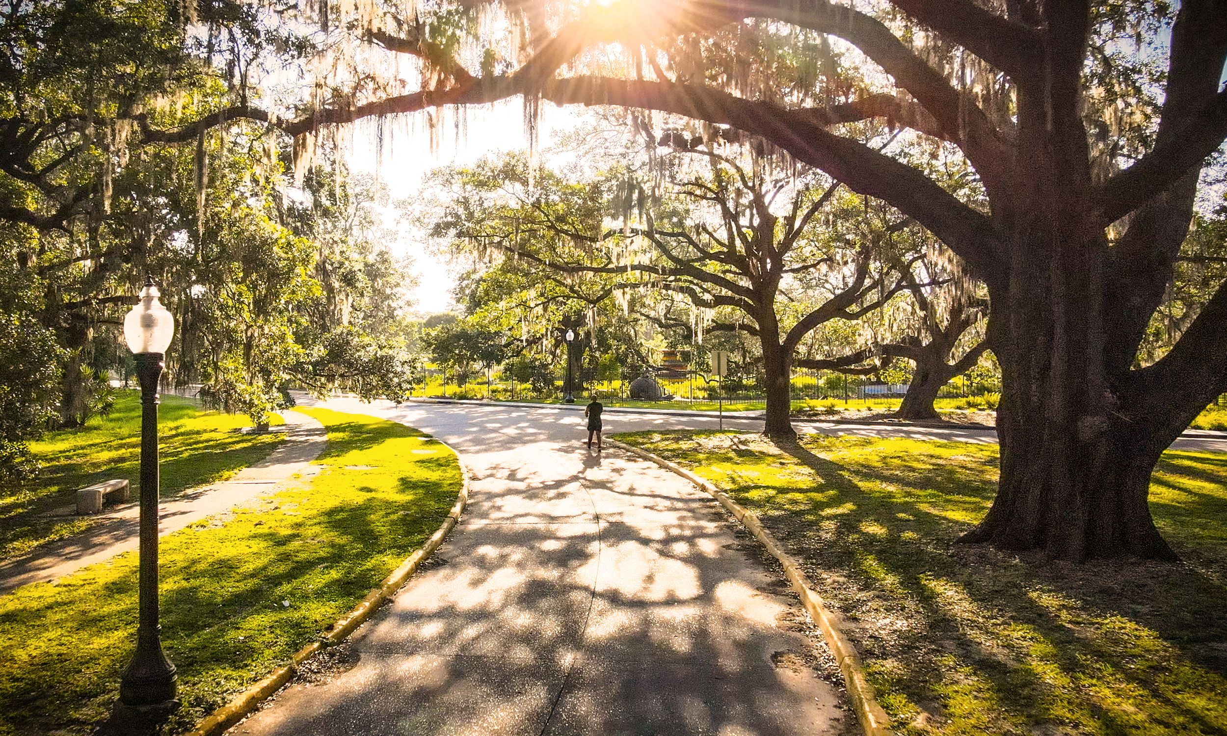 Photo shows someone walking through City Park with live oaks towering over them
