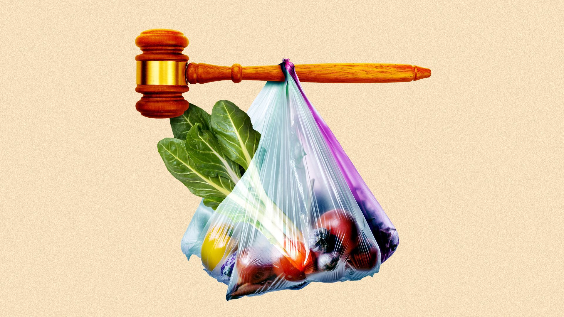 Illustration of a gavel supporting a bag of groceries