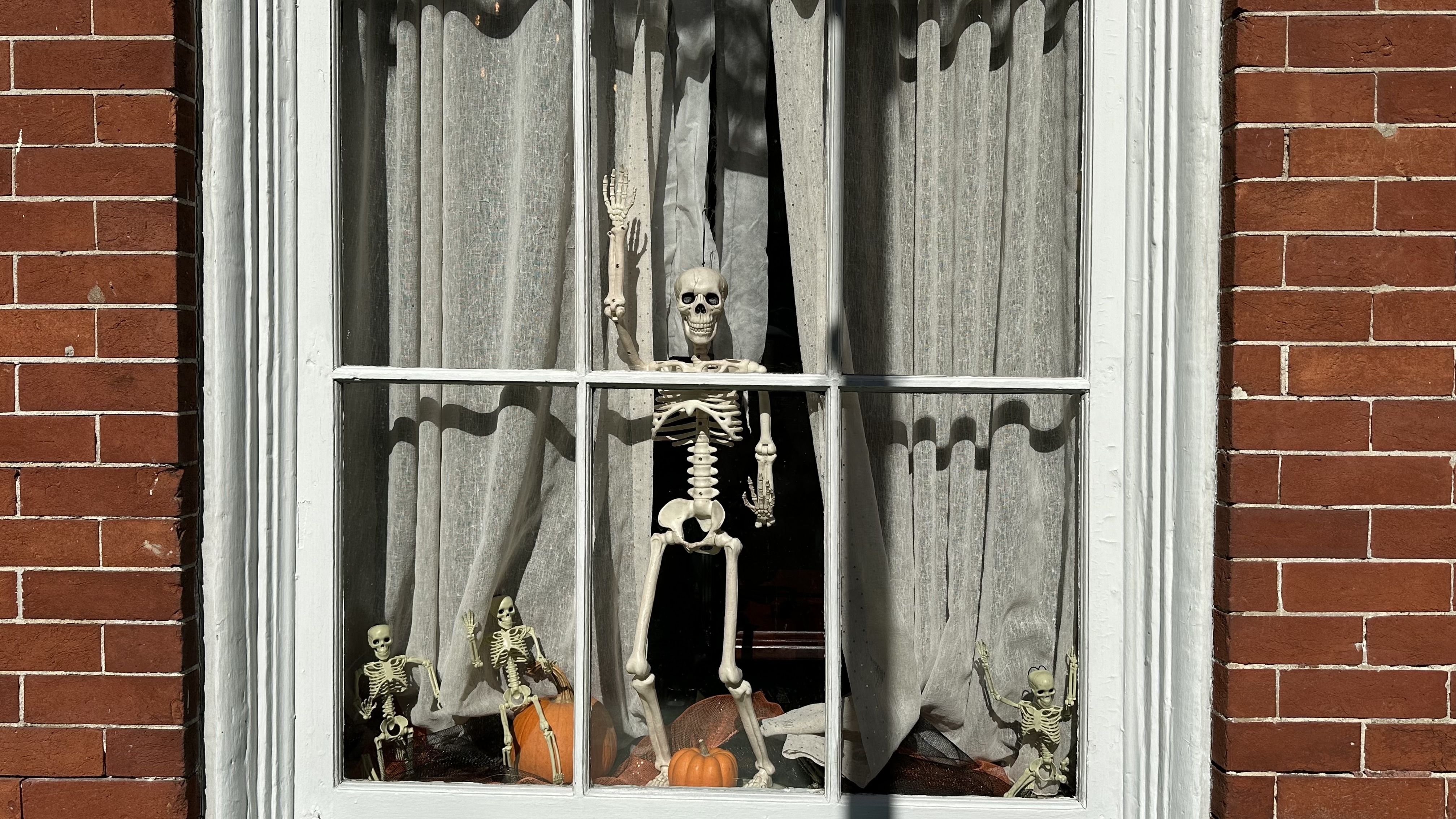 Image shows a skeleton in the window.