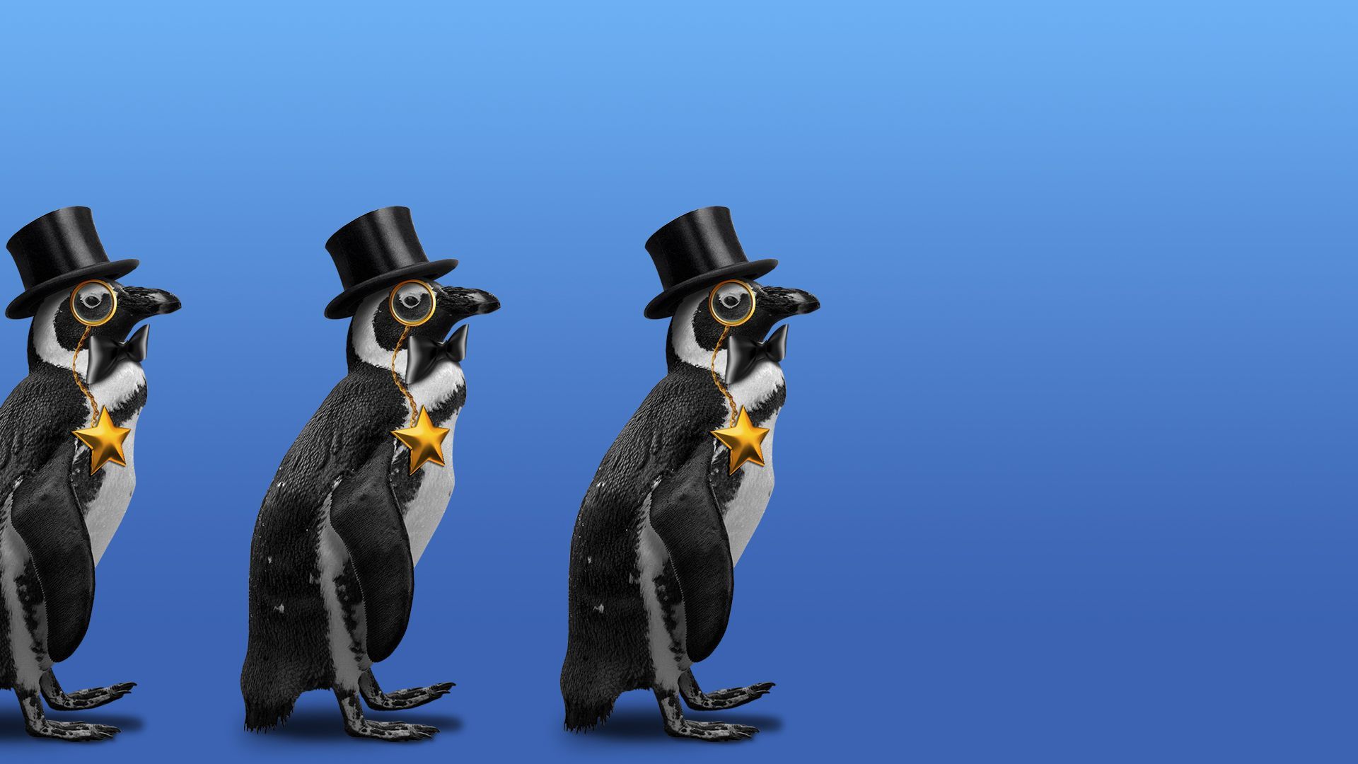 Illustration of a marching line of penguins wearing gold stars, top hats, monocles, and bow ties.