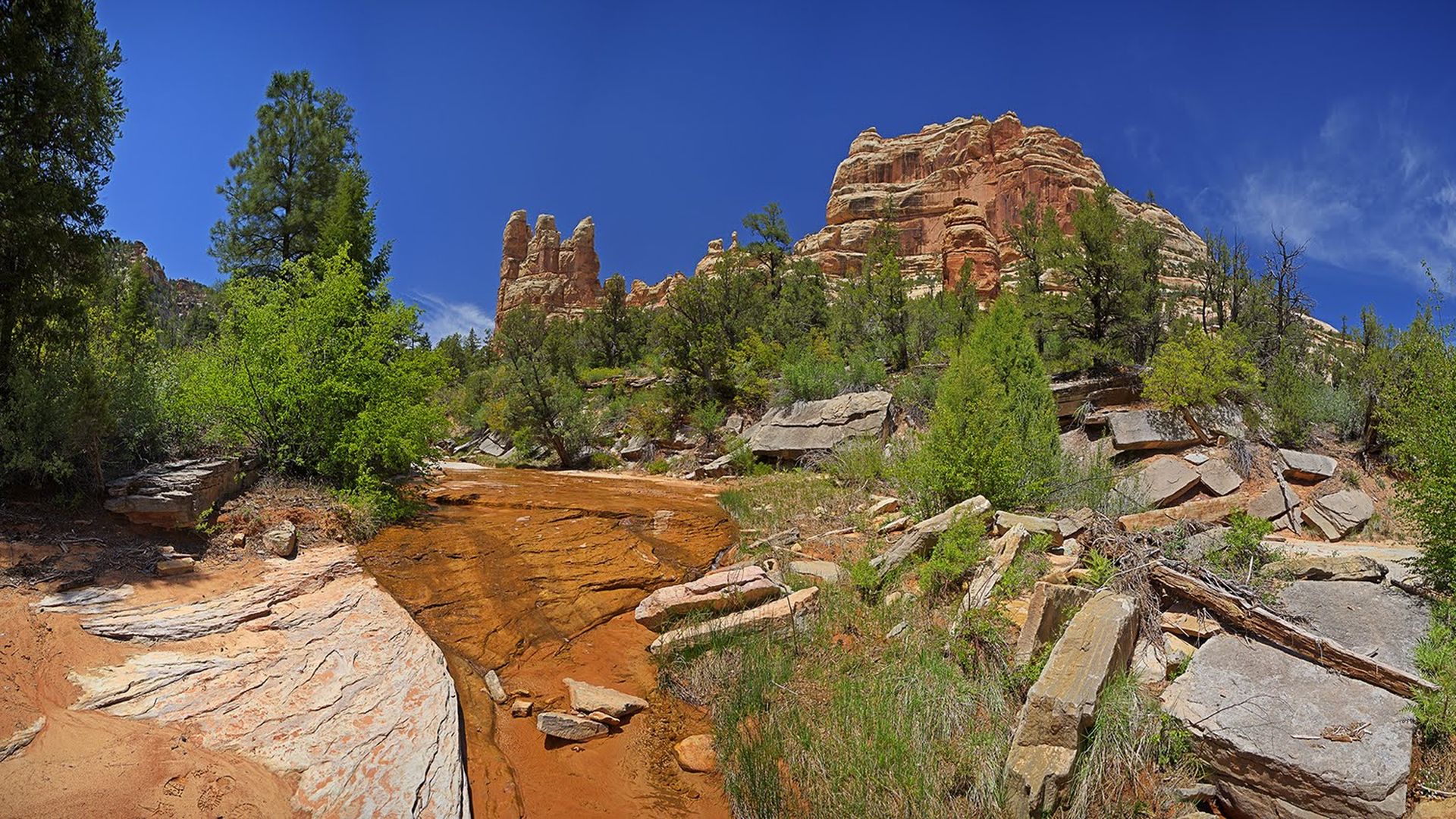 A redrock canyon with trees and a cliff in the background