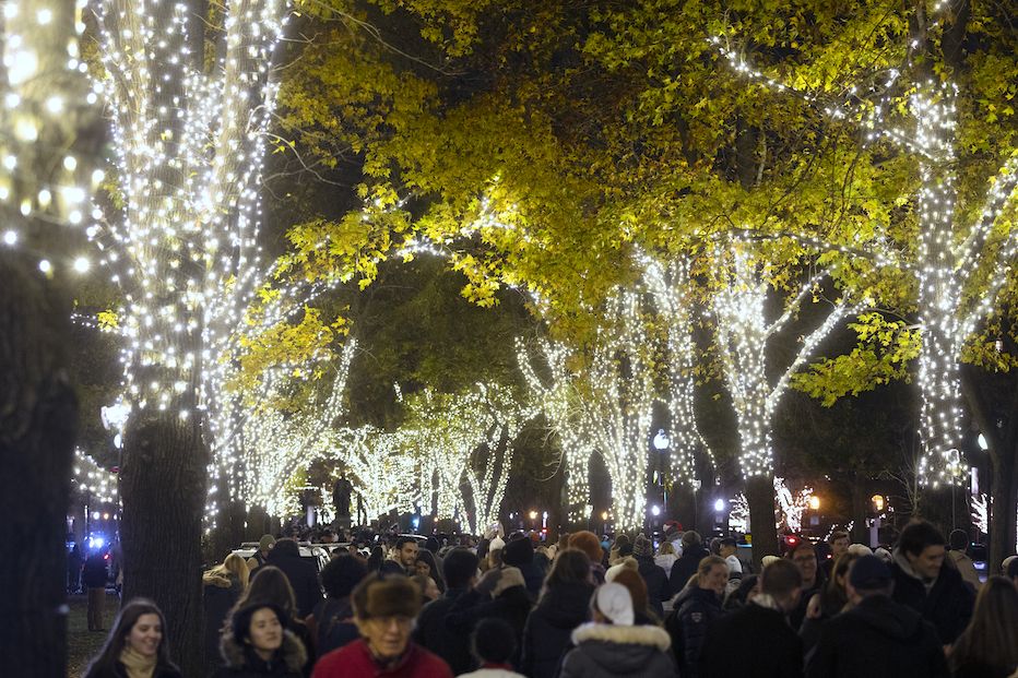 Crowds of people walk through the Commonwealth Avenue Mall at night after it's lit for the holidays Nov. 30.