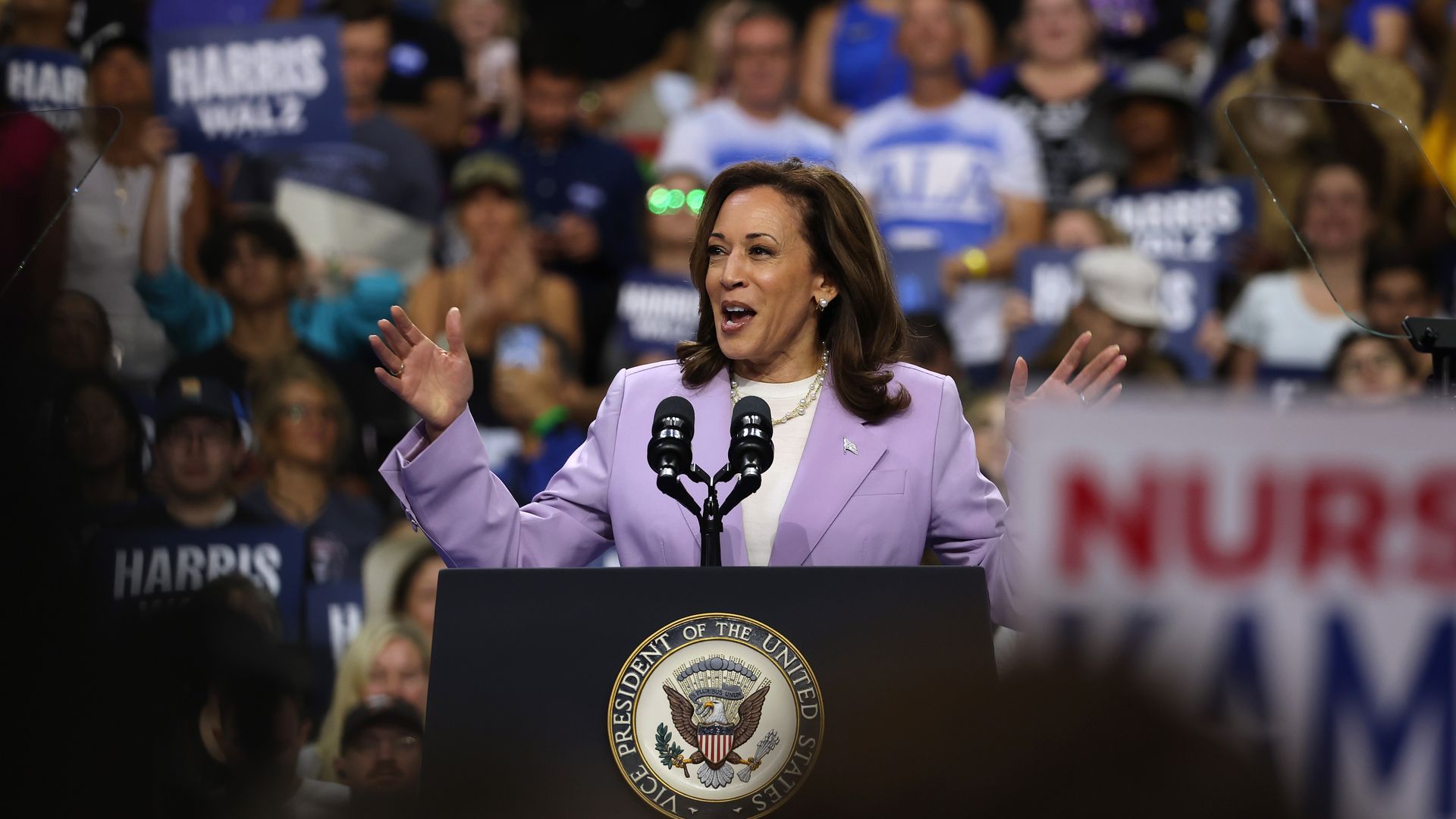 Vice President Harris speaks to a crowd at a rally.