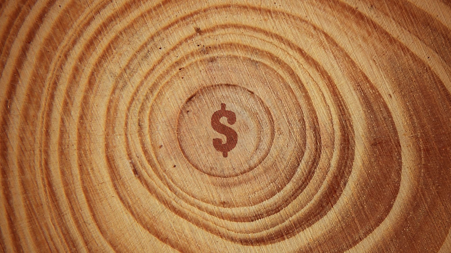 Illustration of a pattern of tree rings with the center ring as a dollar bill sign. 