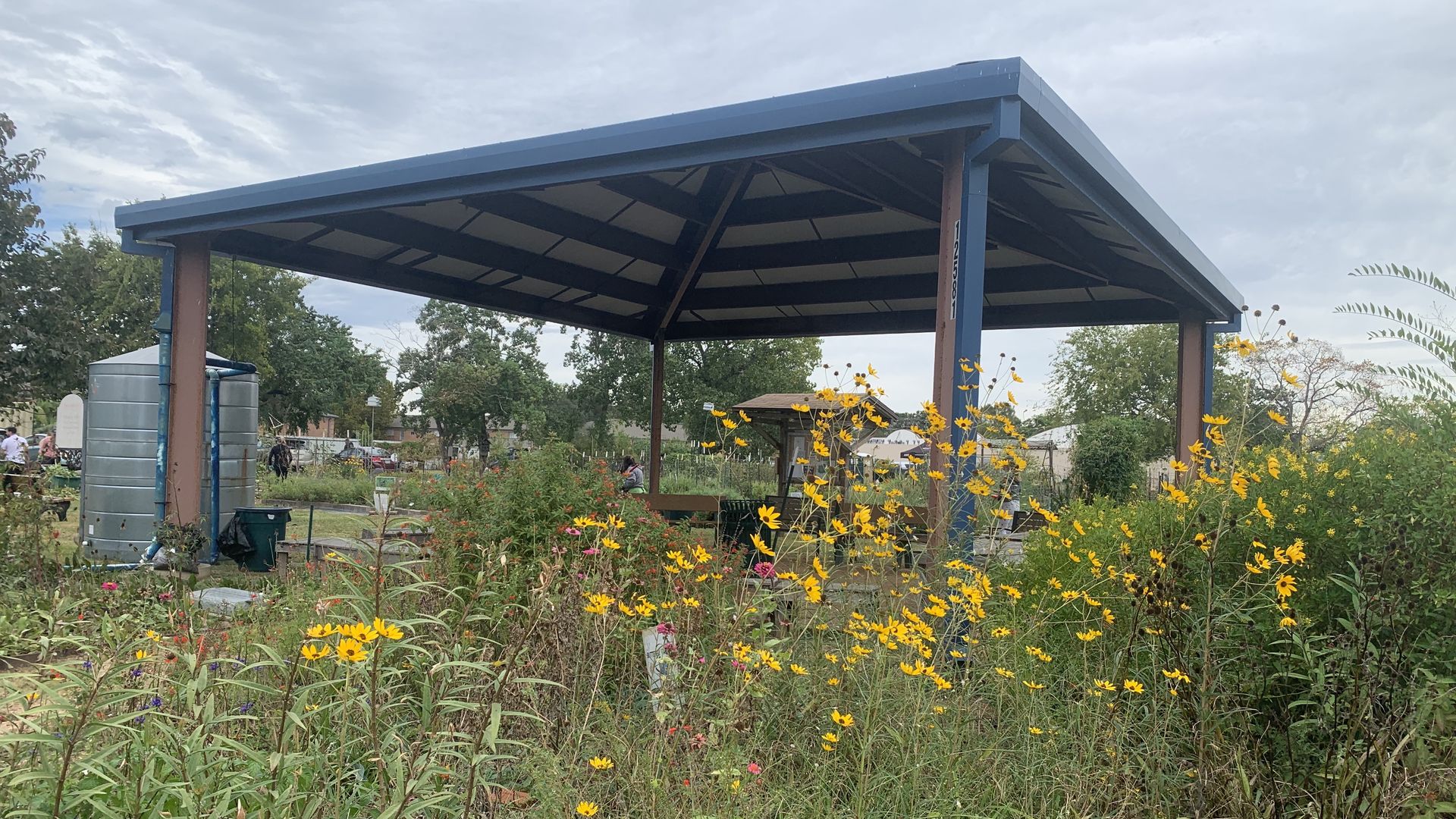 Photo of wildflowers growing in front of a pavilion. 