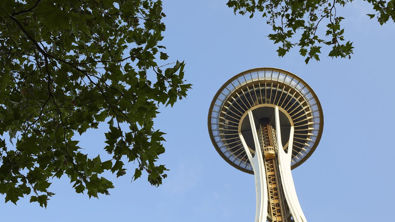 Seattle is losing more tree canopy despite efforts