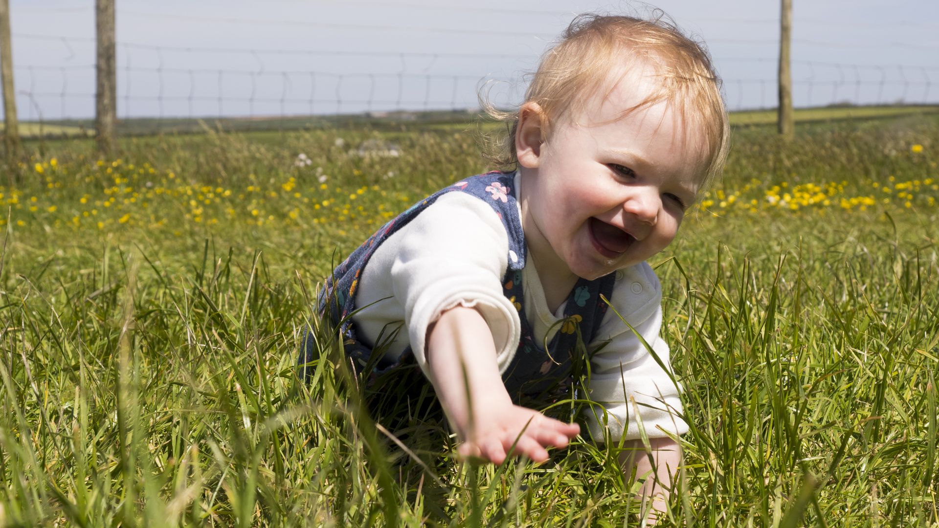 baby playing in grass