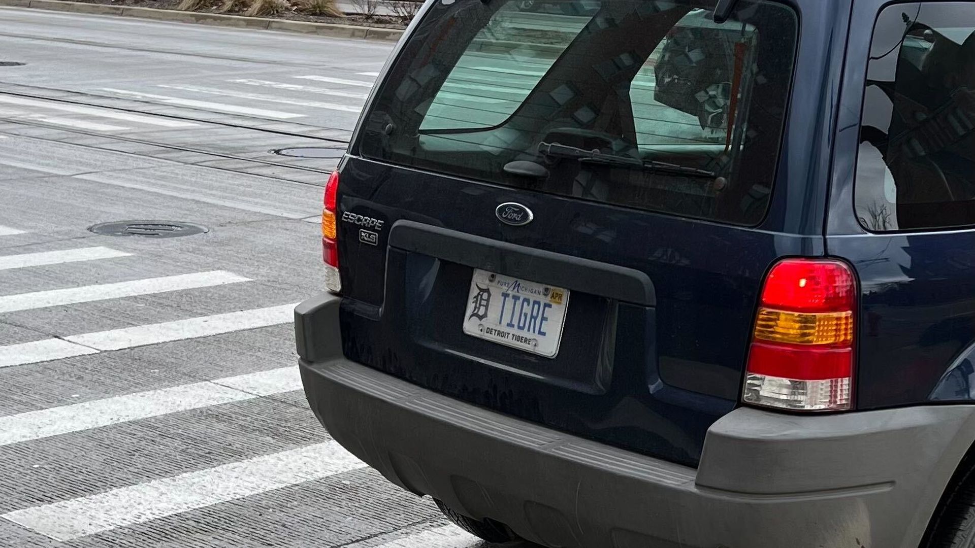 Tigers vanity plate