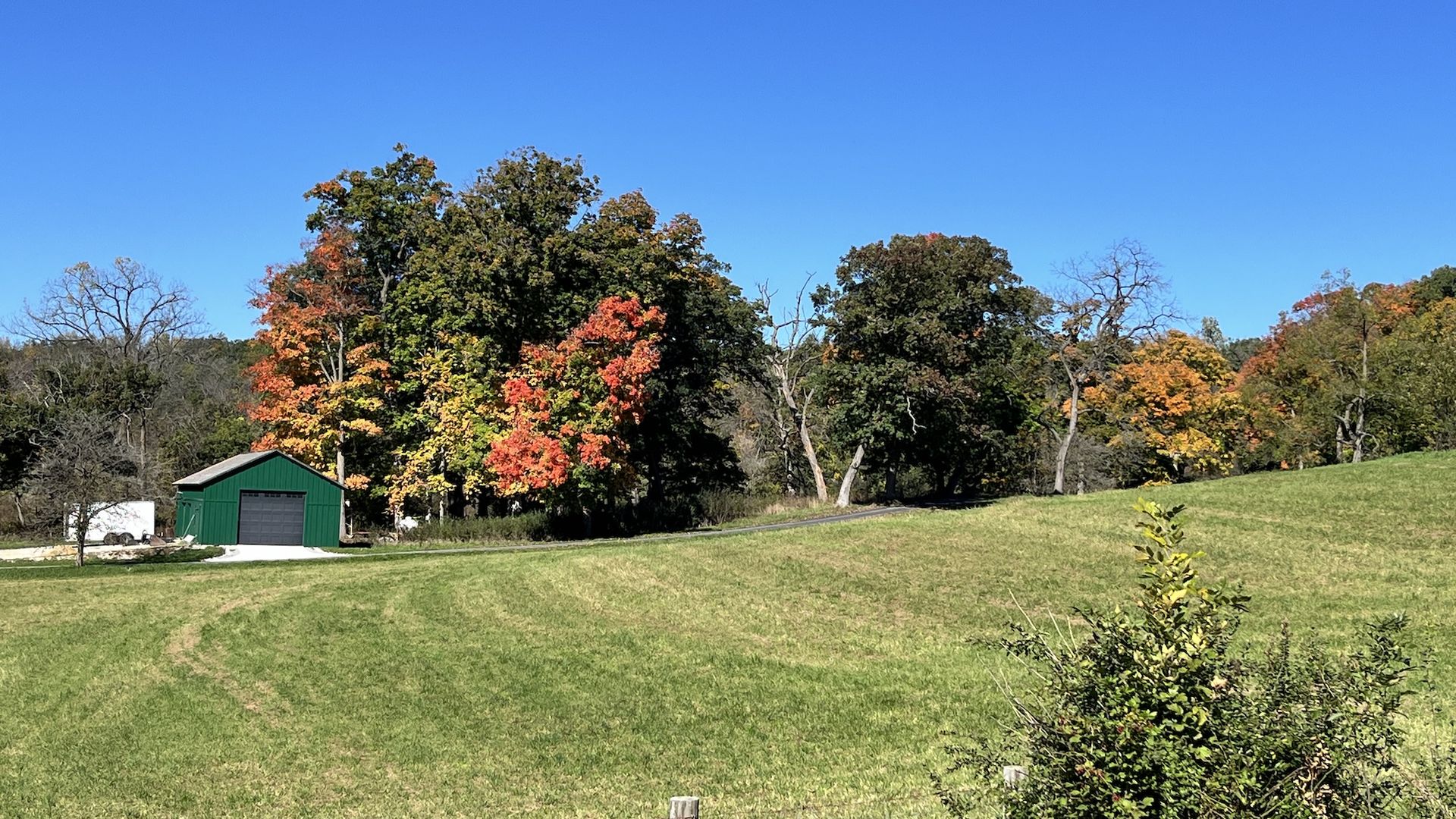 Bright blue sky over a grassy field with a cluster of autumn trees; a green shed with a gray door sits left, a small trailer nearby, and wooden fence posts in the foreground.