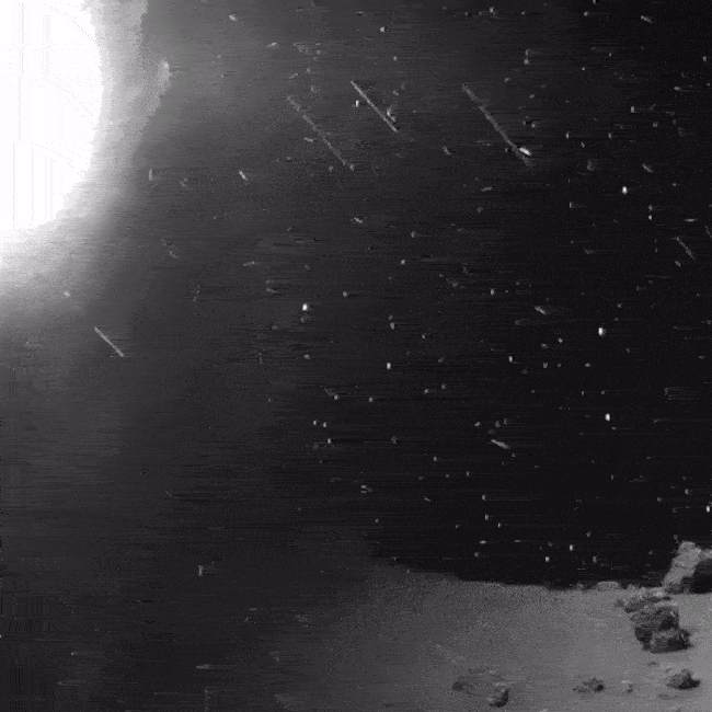 Images of dust and stars around comet 67P.