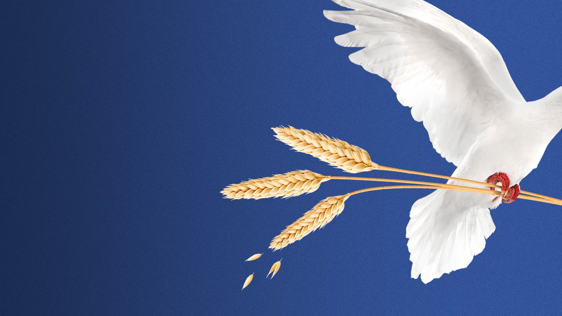 Illustration of a dove holding wheat stalks in its talons, instead of an olive branch.