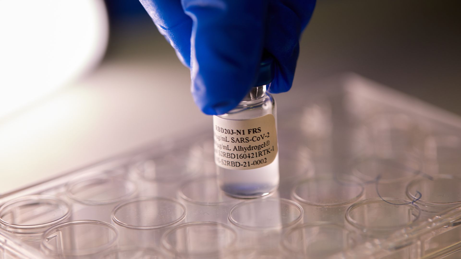 A blue glove holds a vial of the Corbevax vaccine.