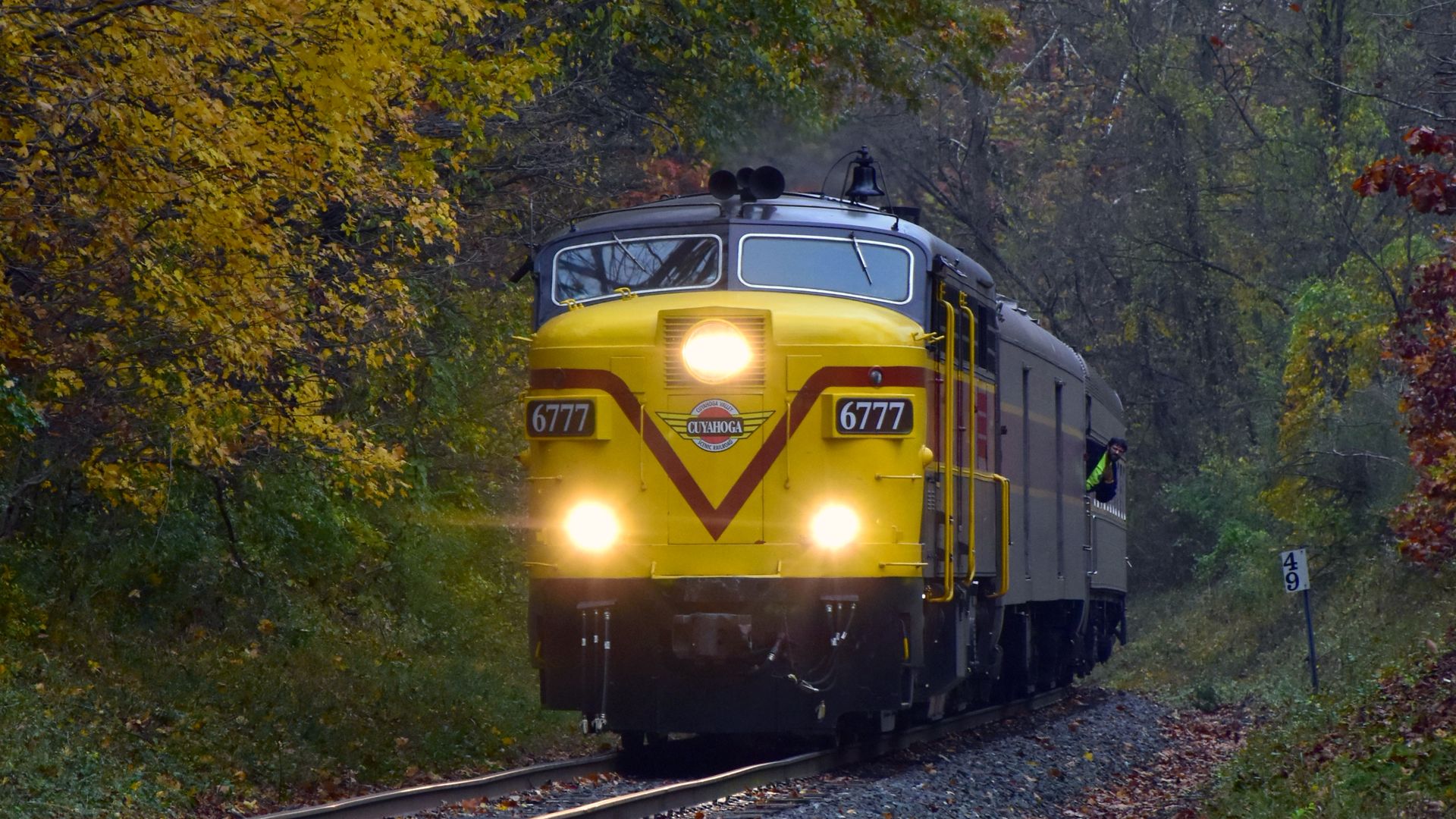 A yellow train cuts through a scenic passage, with trees overhanging