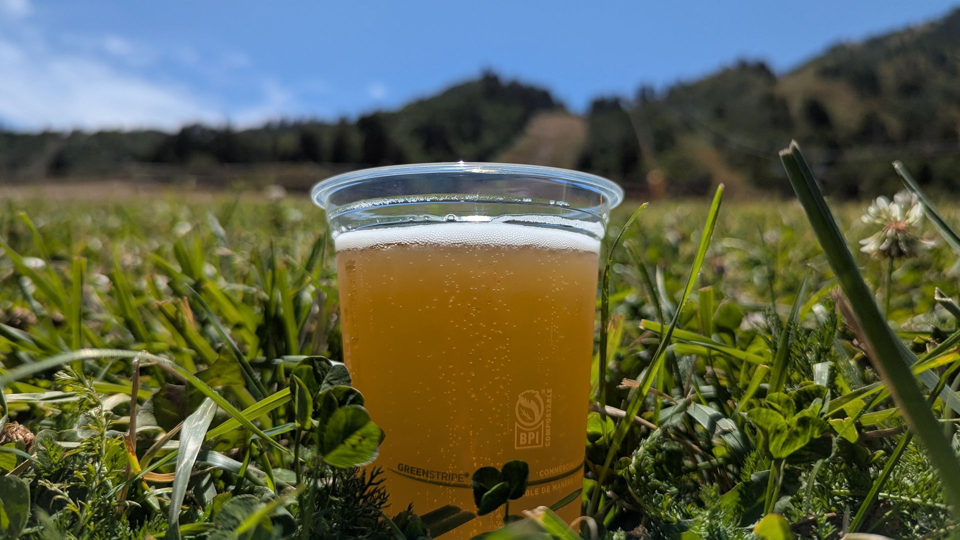 Clear plastic cup with amber beer and foam on top, placed on green grass under blue sky with distant hills in background.
