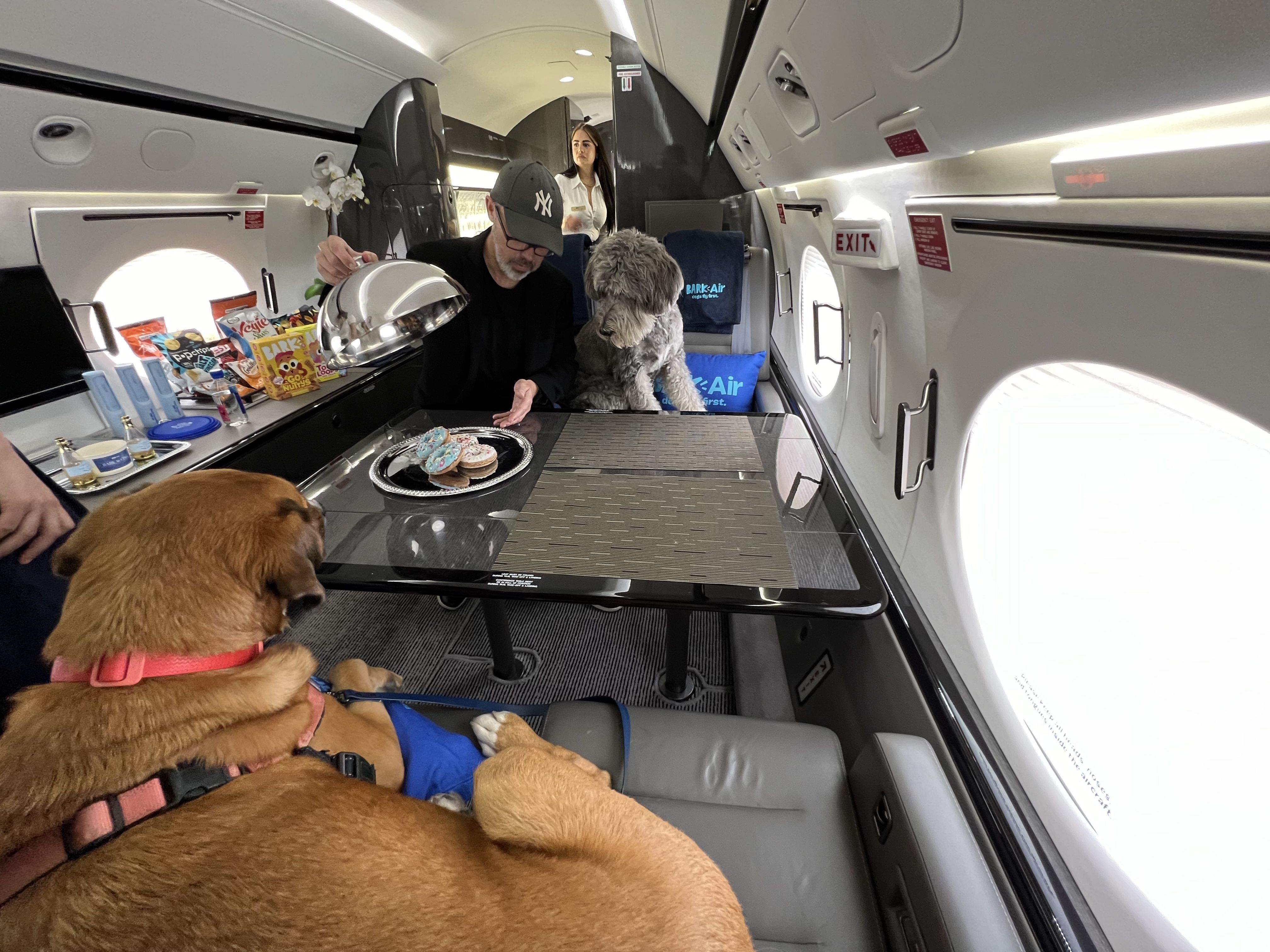 Fido's $6,000 plane flight