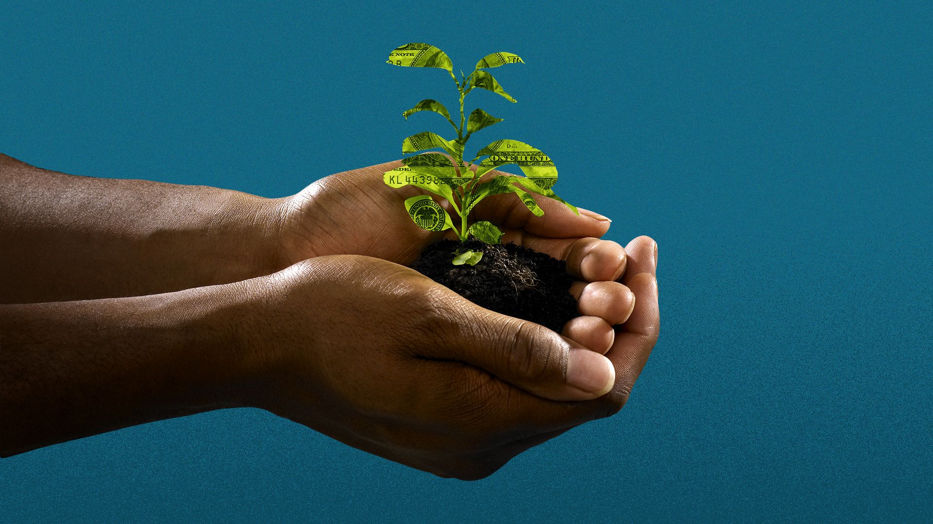 Illustration of a Black person's hands holding a plant made out of money.