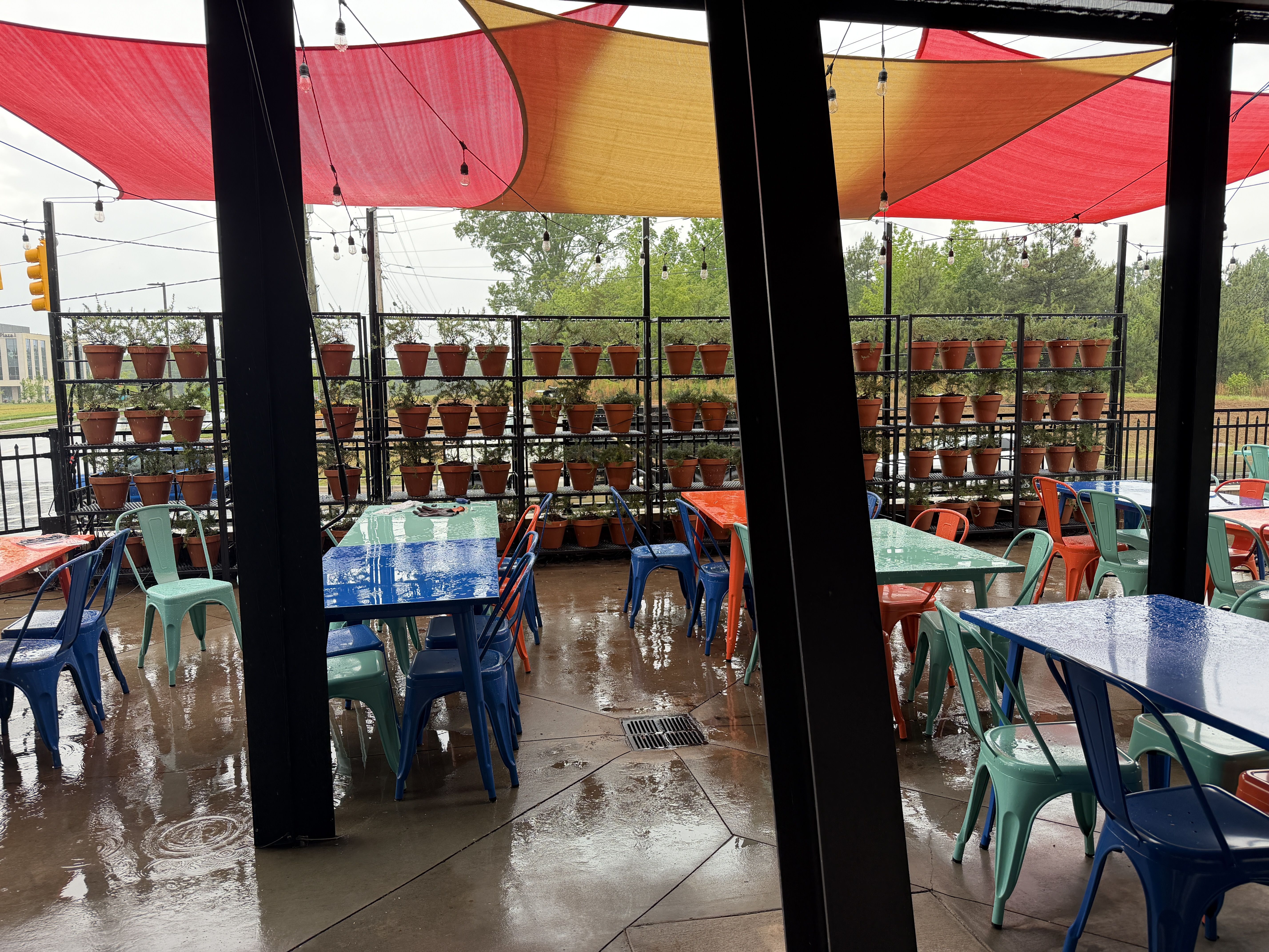 Outdoor cafe patio under a red and orange canopy with string lights; wet floor. Colorful plastic chairs around blue and green tables; rows of potted plants on metal shelves in the background.