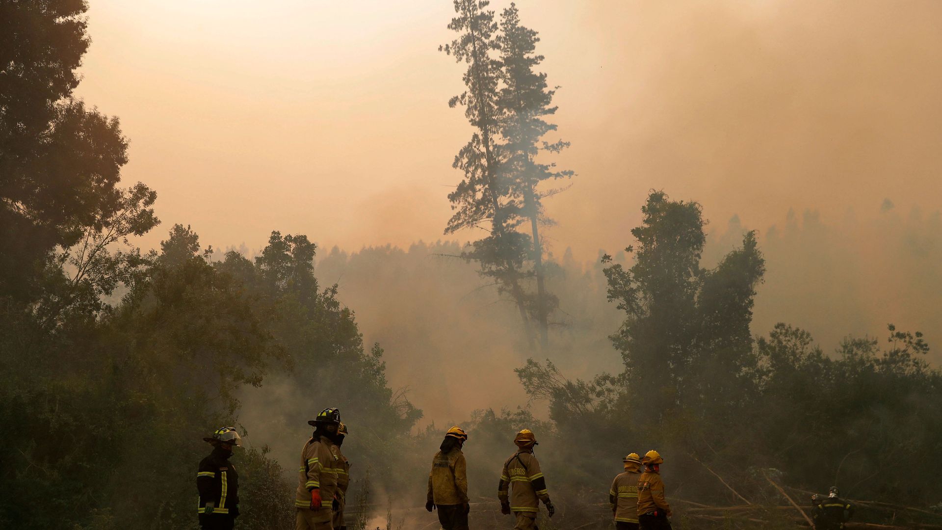 Seven firefighters are seen walking through a forest that has thick, brown smoke, in Chile