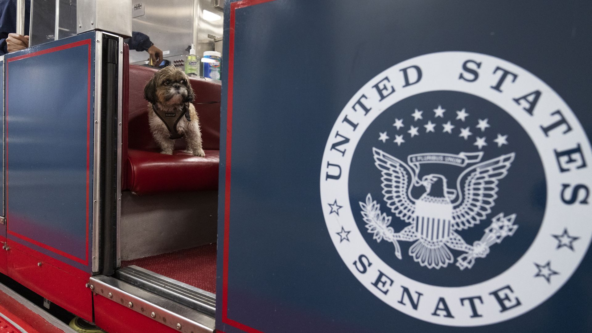 A rain-soaked dog is seen sitting in the Senate subway car.
