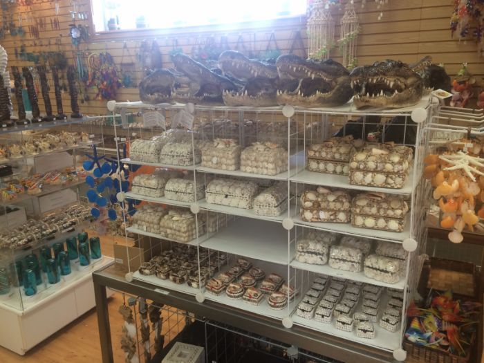 Gator heads. No thanks.
