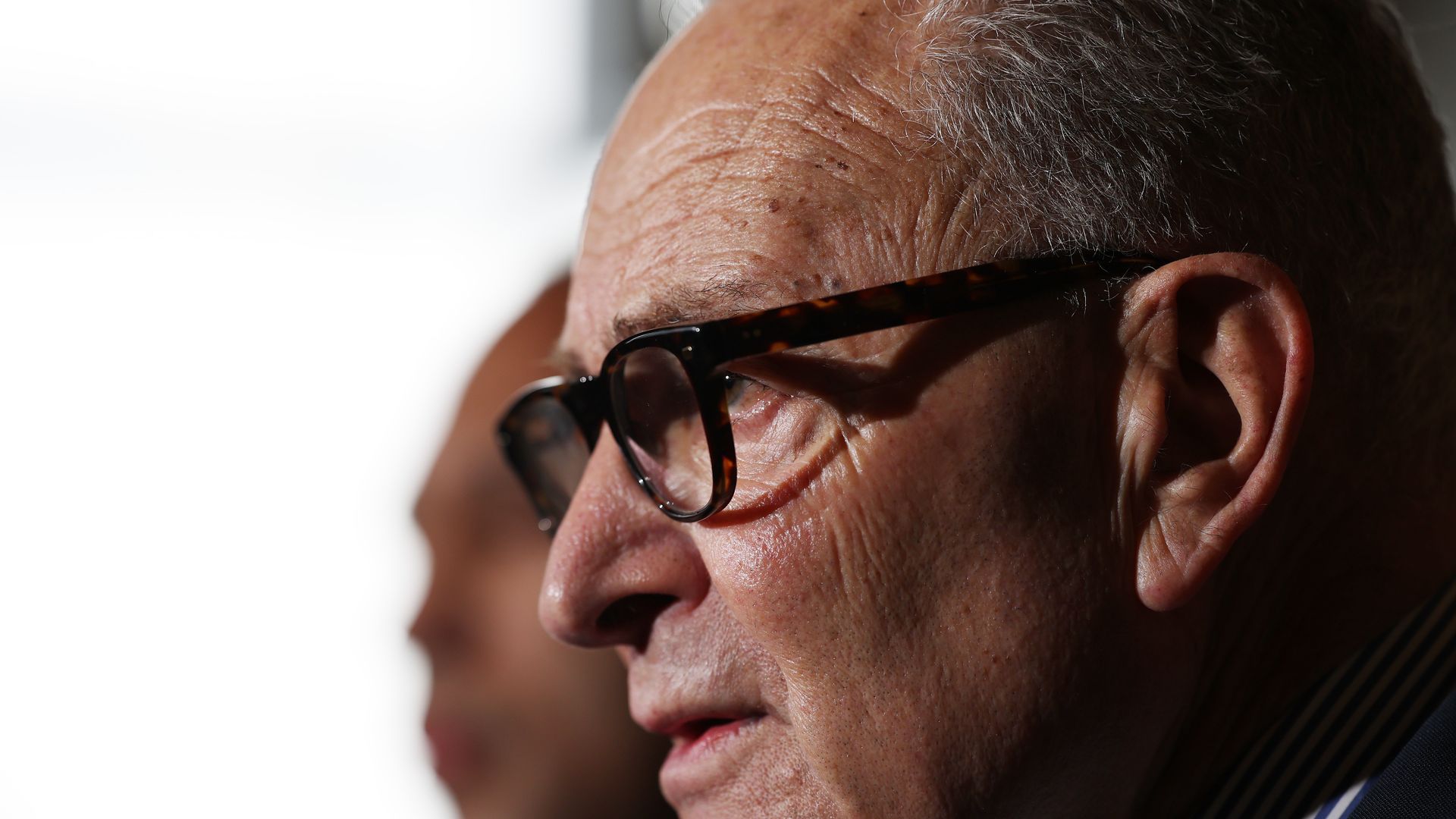 Chuck Schumer in profile