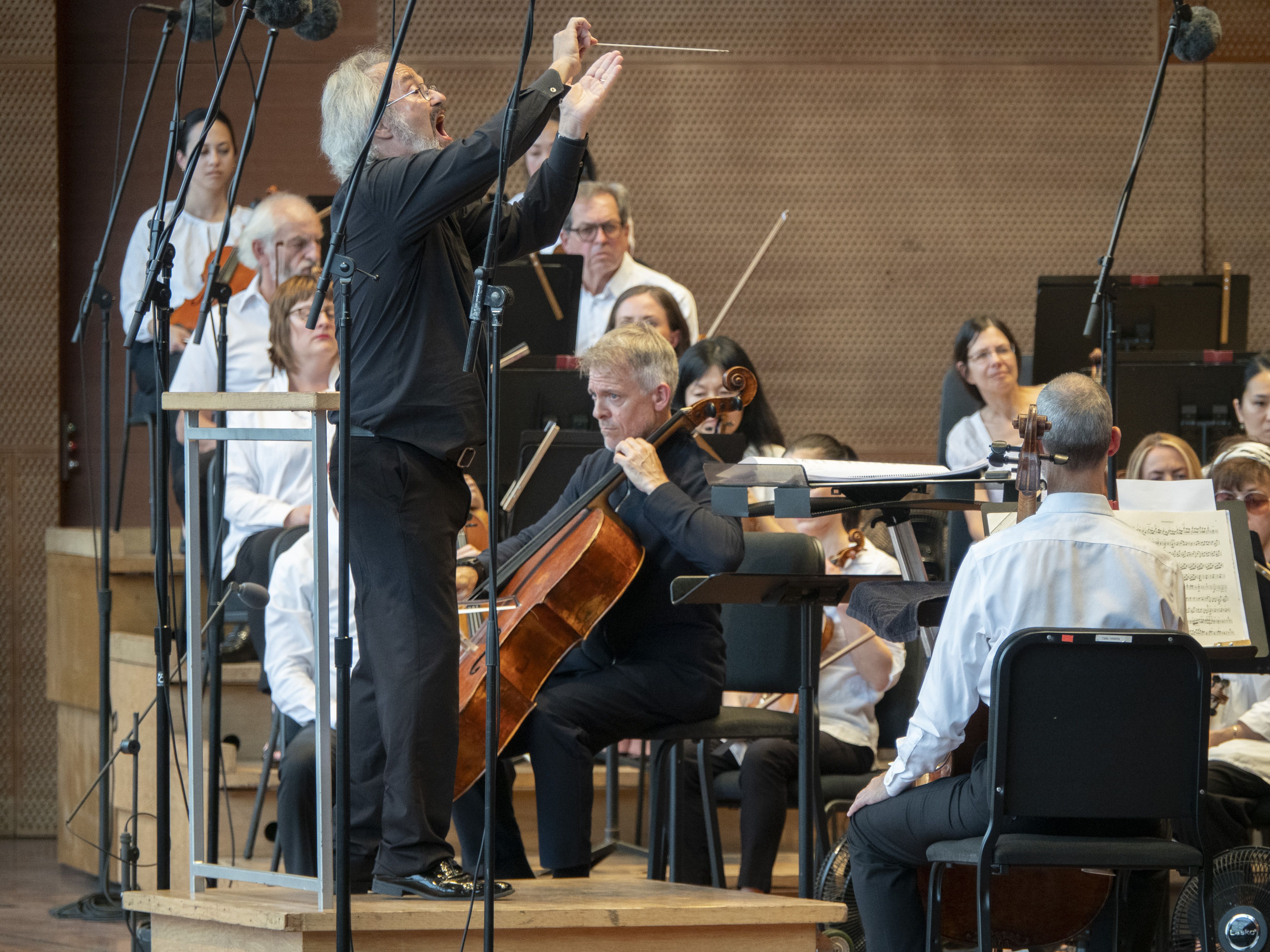 Photo of a conductor and an orchestra on stage 