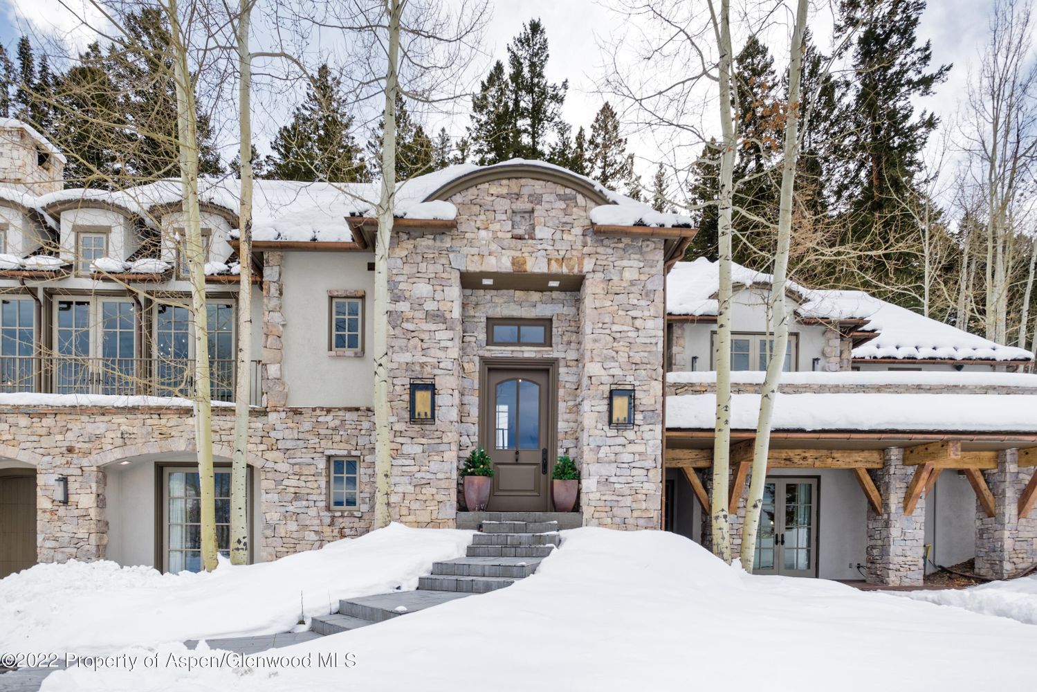 983 Moore Drive Aspen