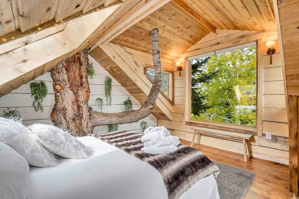 bedroom of treehouse