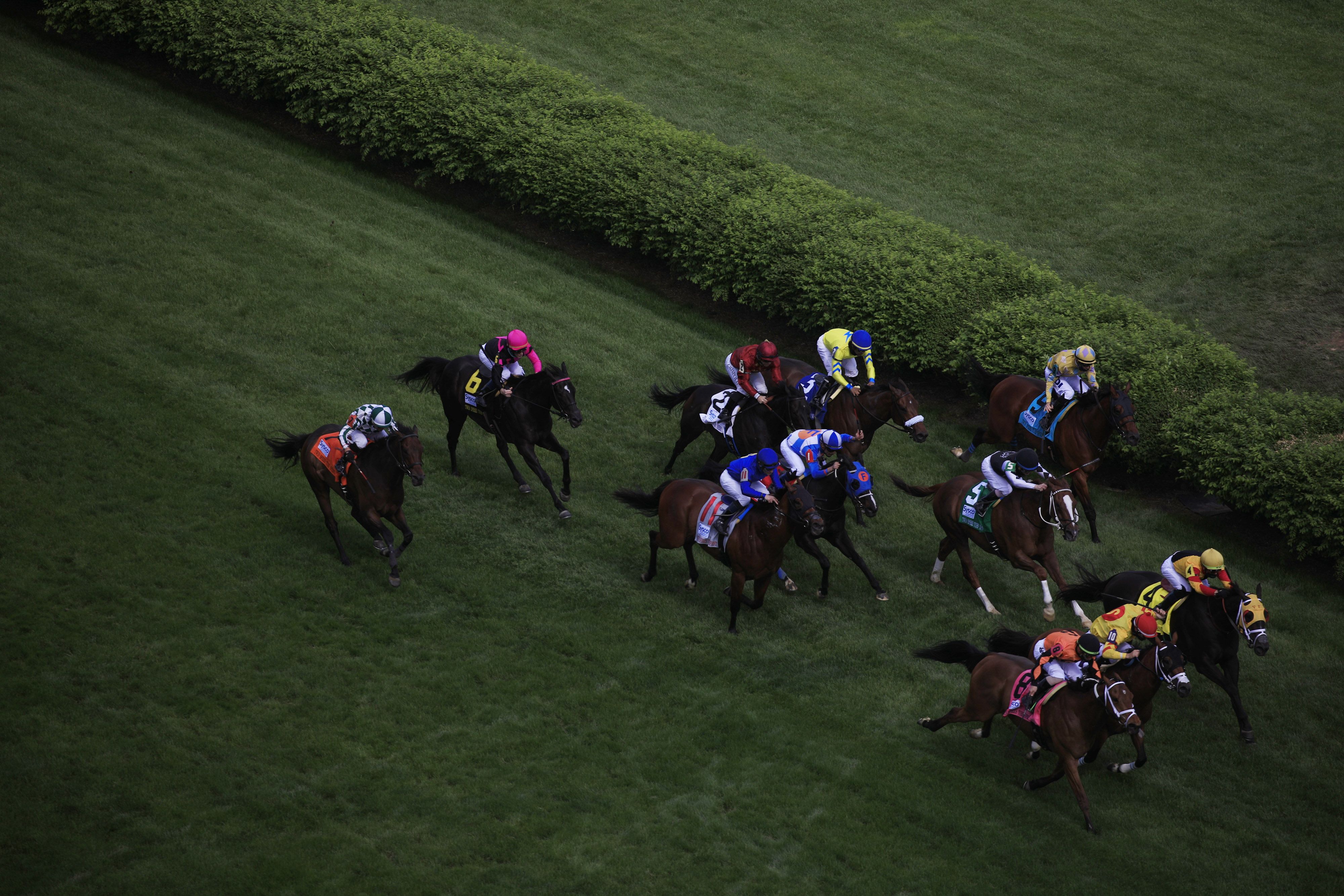 Thoroughbred racehorses compete in a turf race at Churchill Downs on April 30. 
