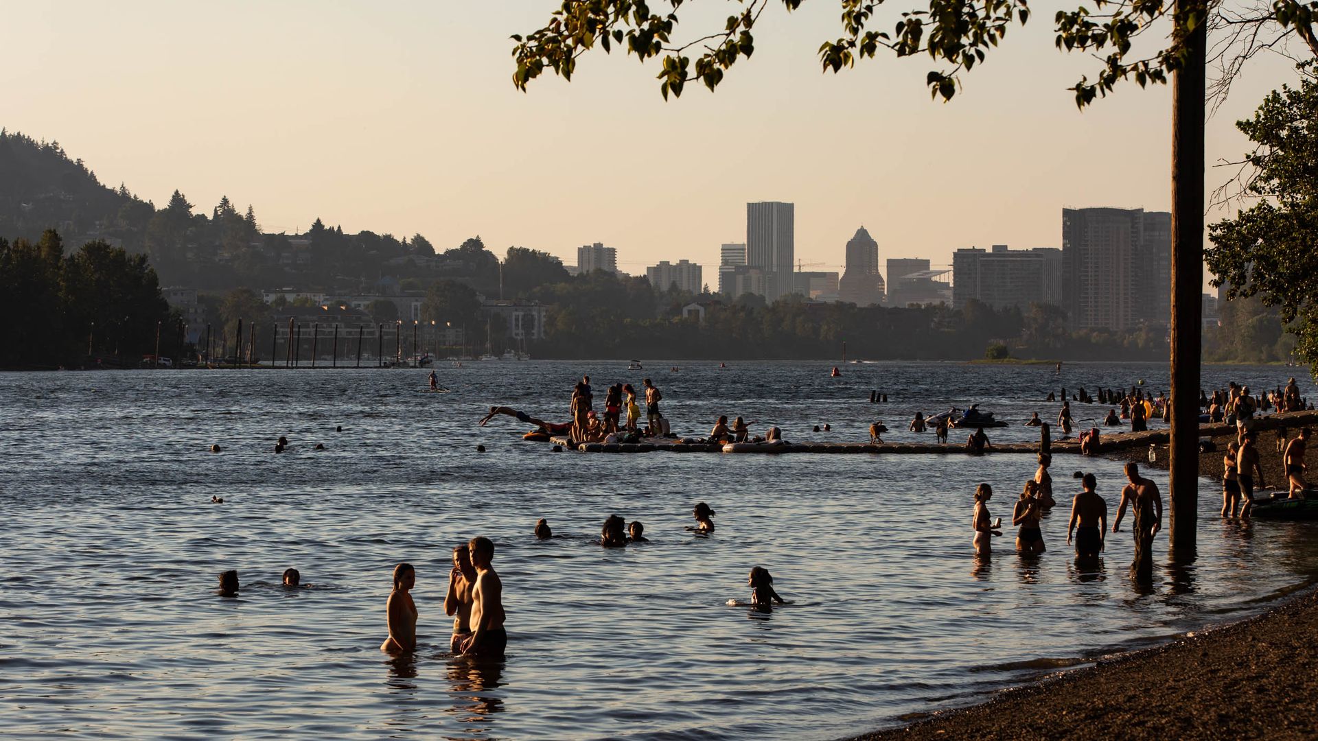 People swimming in the Willamette River in Portland.