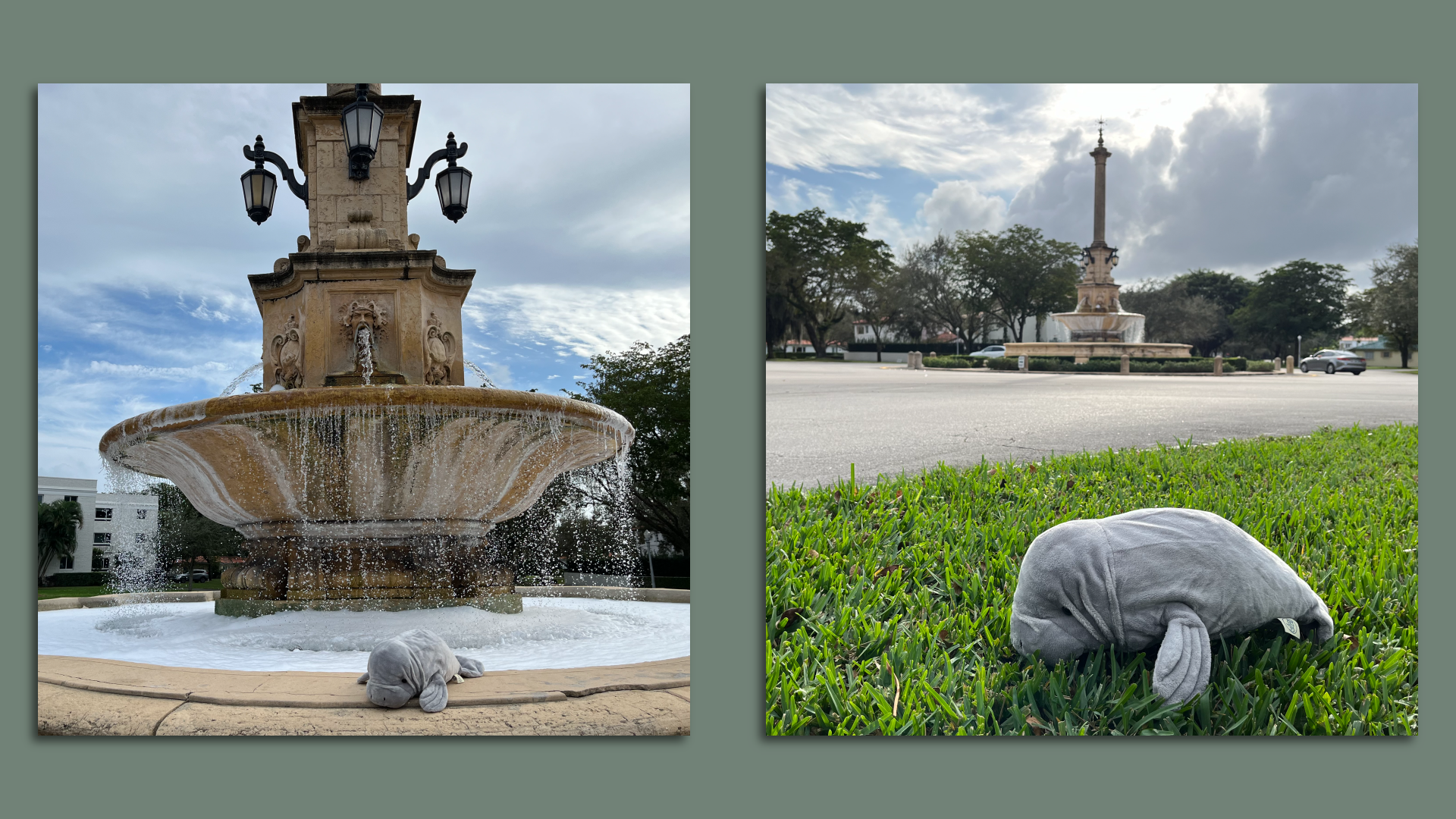 Manny the manatee at the DeSoto Fountain