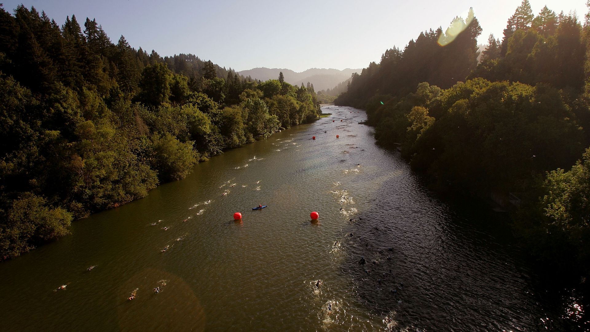 Photo of people swimming down a river surrounded by tall trees