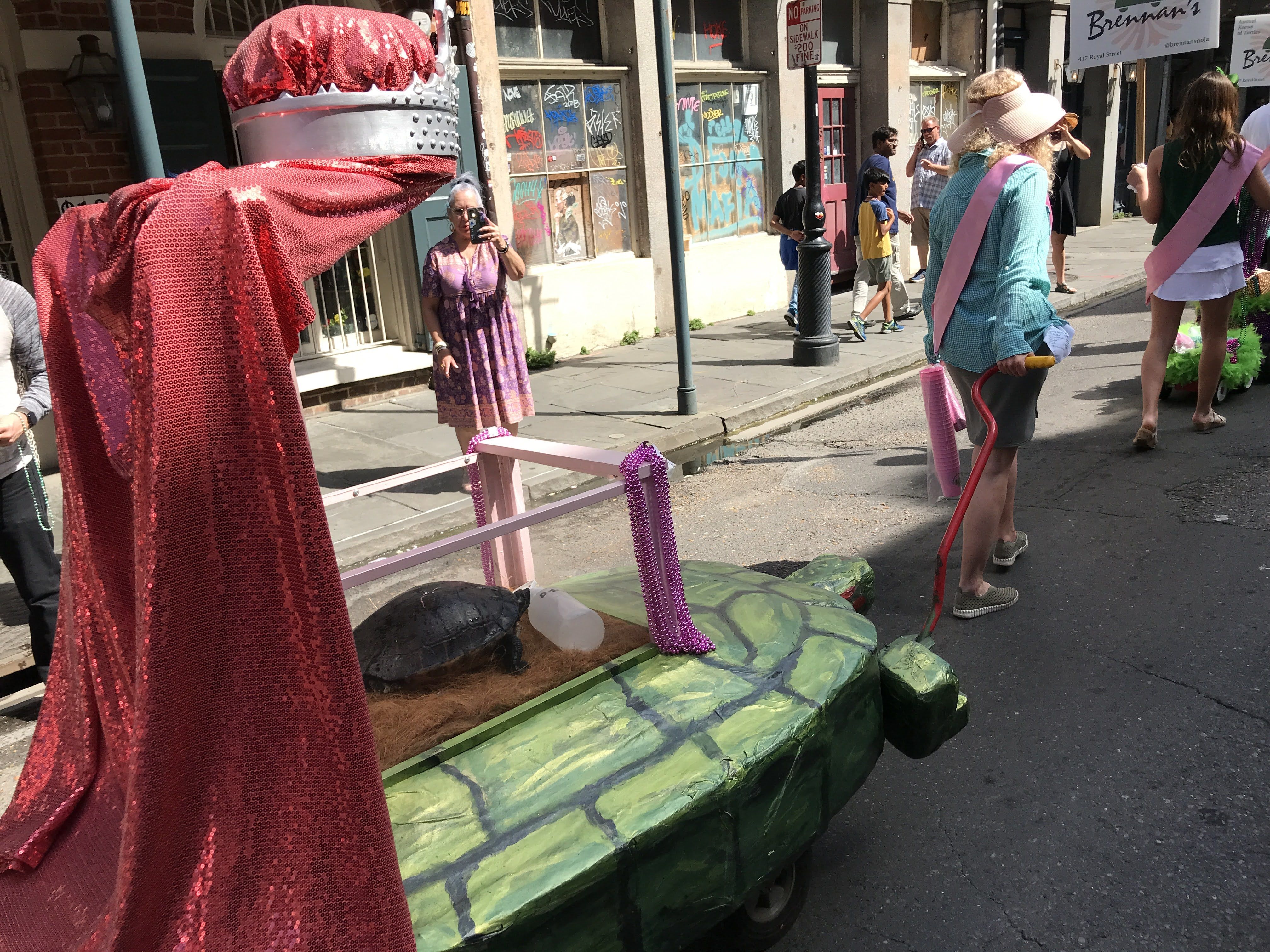 Photo shows a turtle-shaped wagon with a crown on top. There's a clear glass enclosure on the wage and a live turtle is in it.